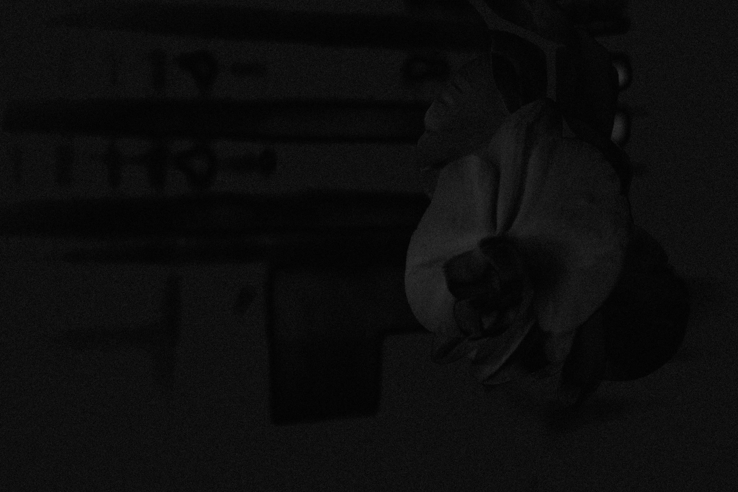 Dark abstract shot of an orchid in front of a window. 