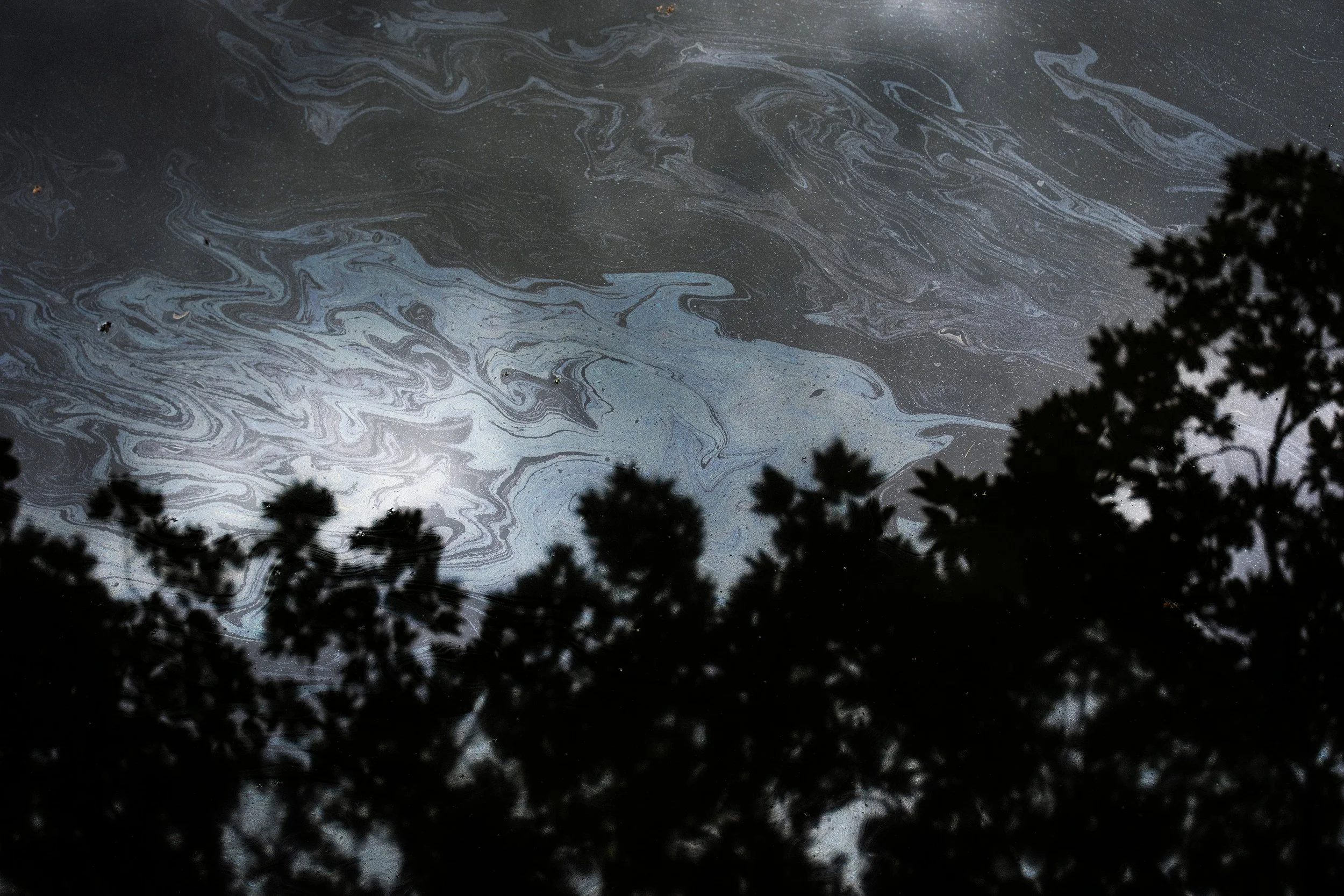 Reflection of sky and trees on water surface.