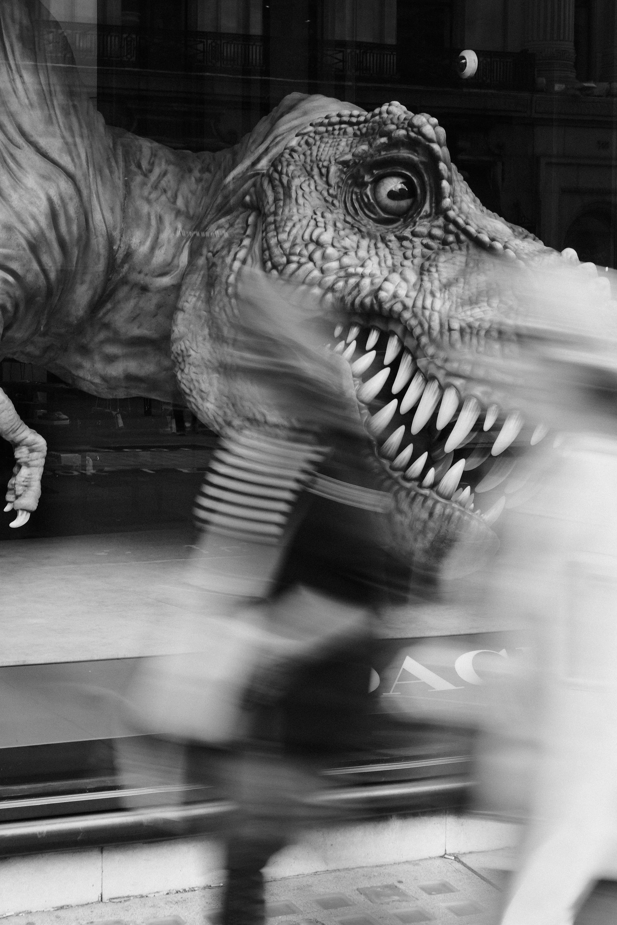 A large T-Rex dinosaur sculpture displayed through a storefront window with blurred pedestrians passing by.