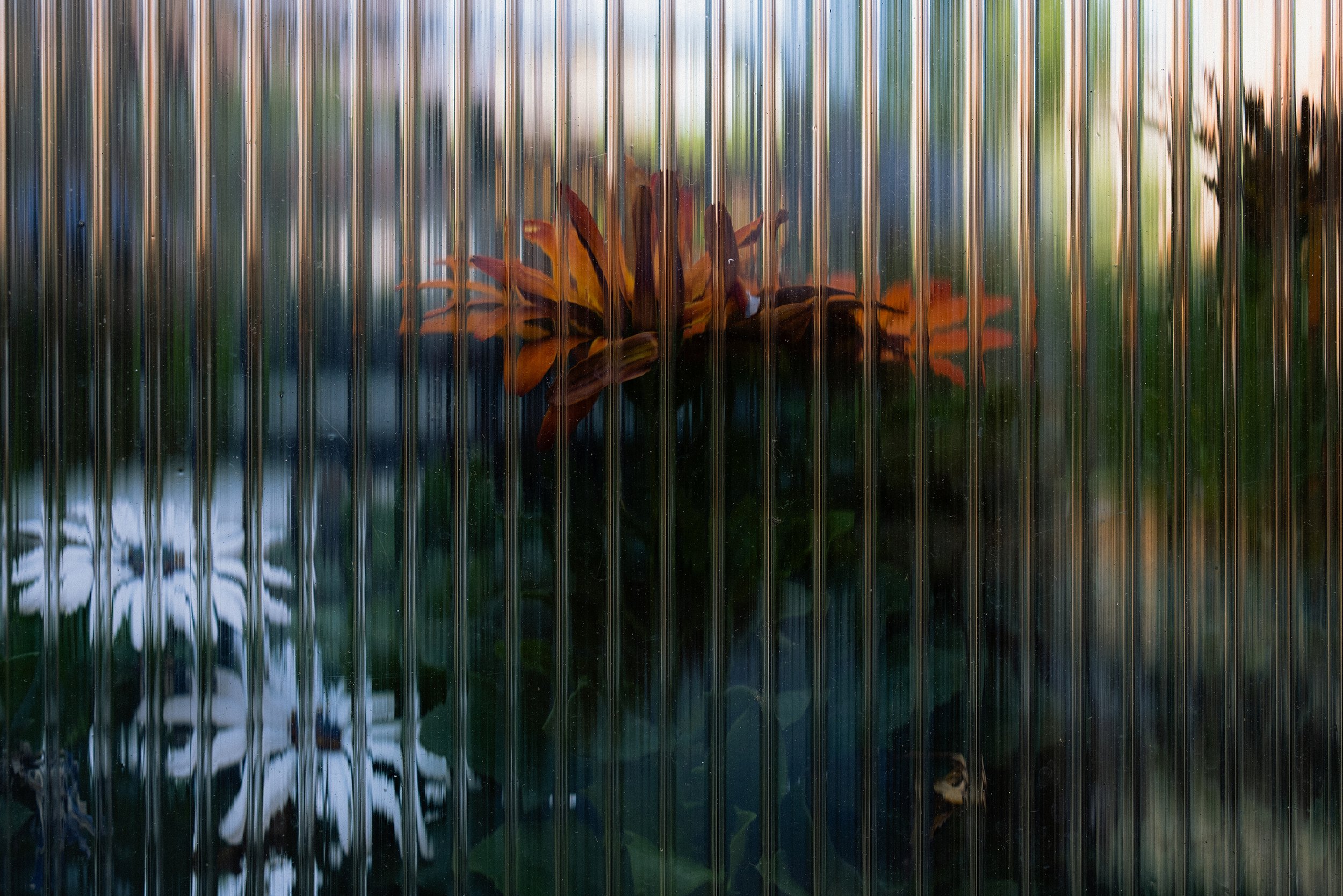 A reflective surface with vertical ribs, showing a distorted image of orange and green foliage behind it.