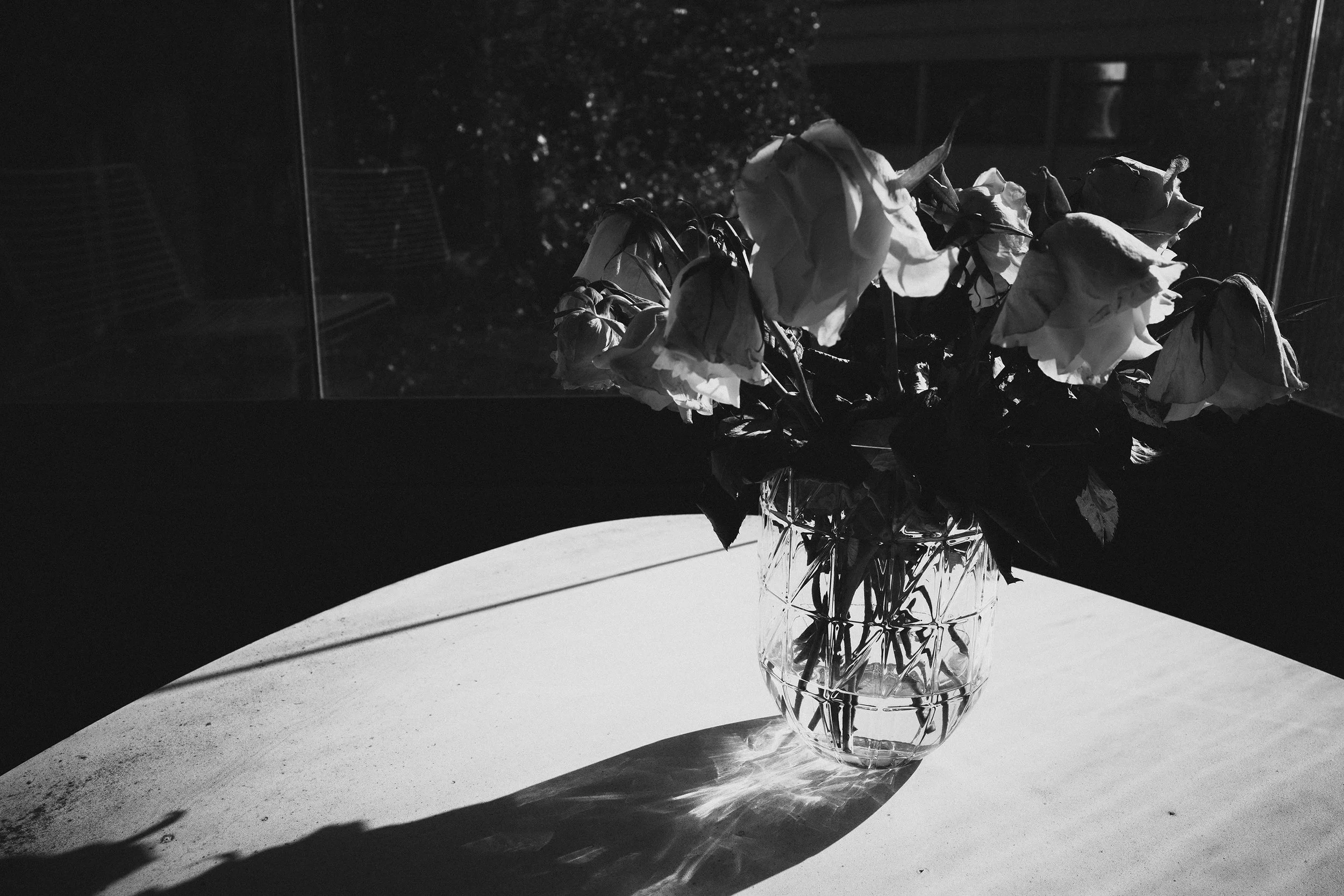 A glass vase with dead roses on a white table, with shadows cast by the early morning sun. 