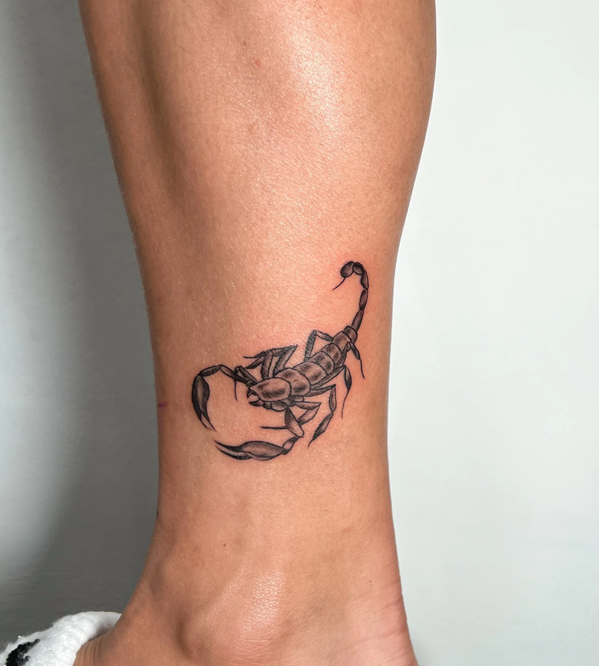 Tattoo of a detailed scorpion on a person's ankle.
