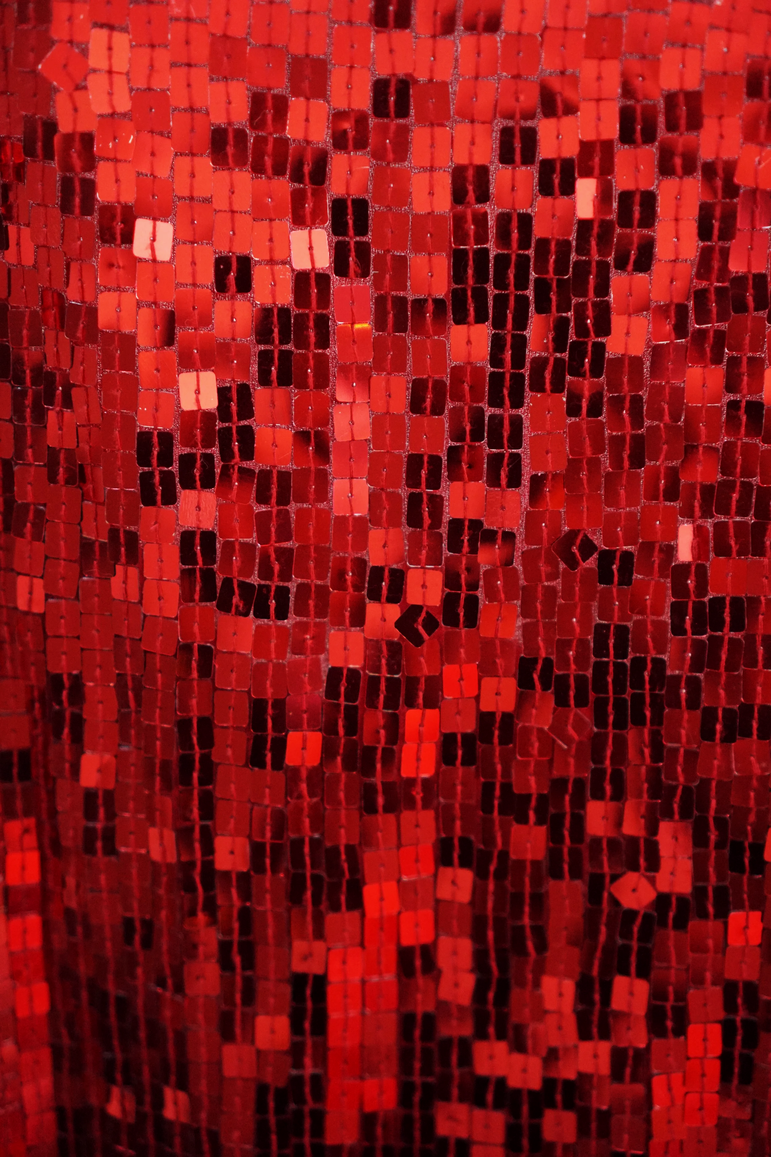 DSC08369.png
