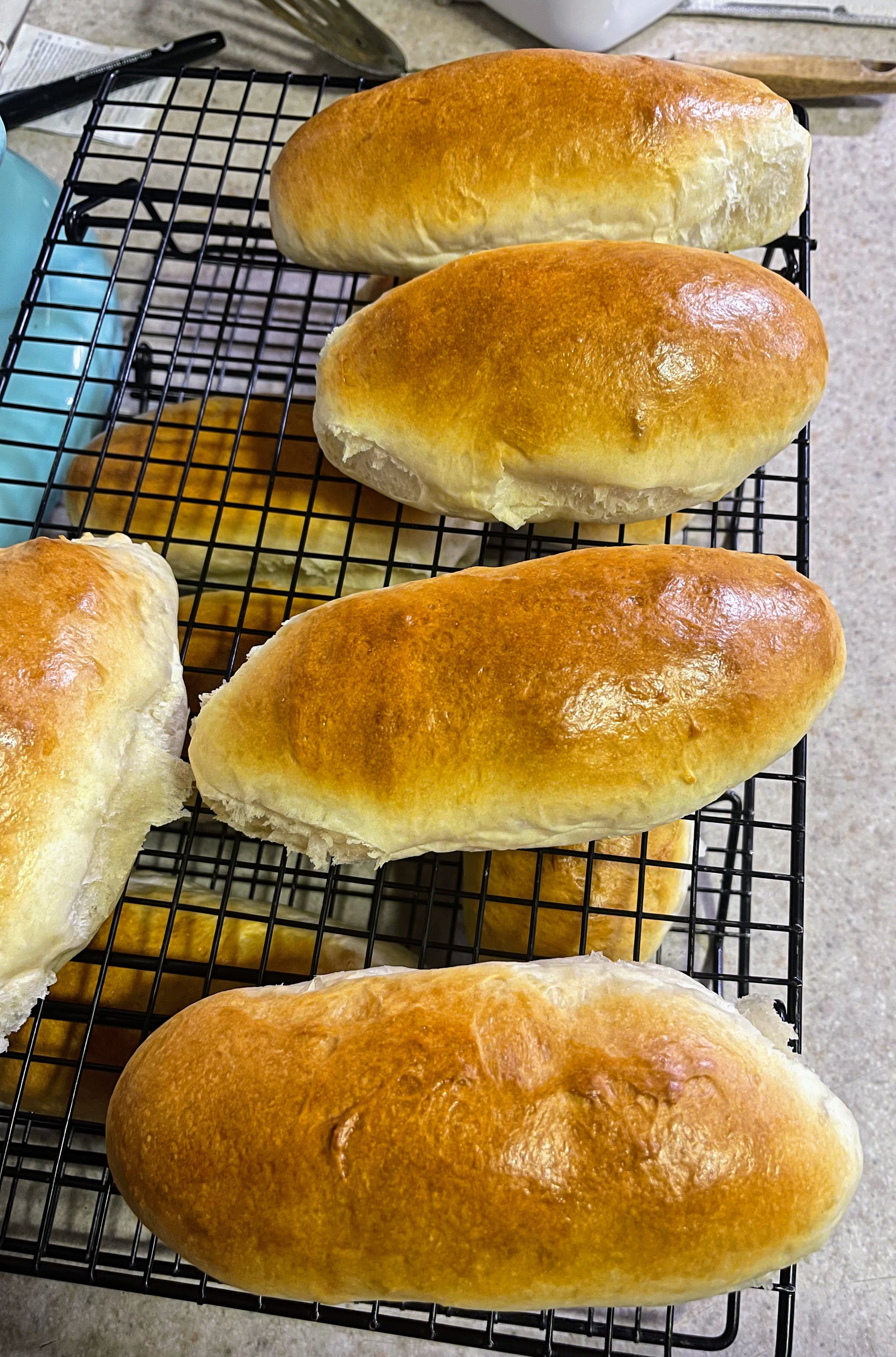 Roots, Salt, and Citrus: Pre-Spring Rhythms at Fanny’s