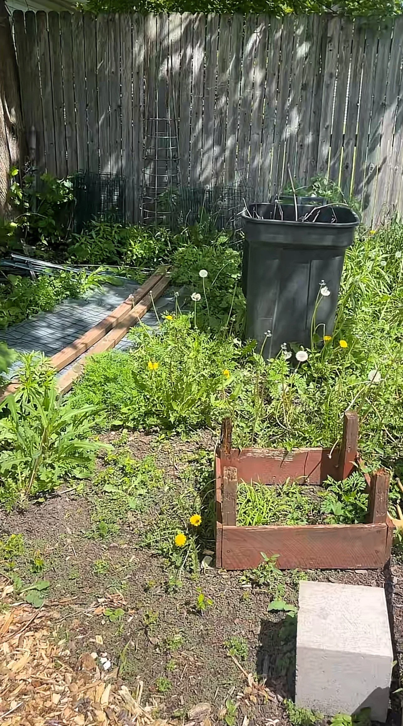 new garden space 1.jpg