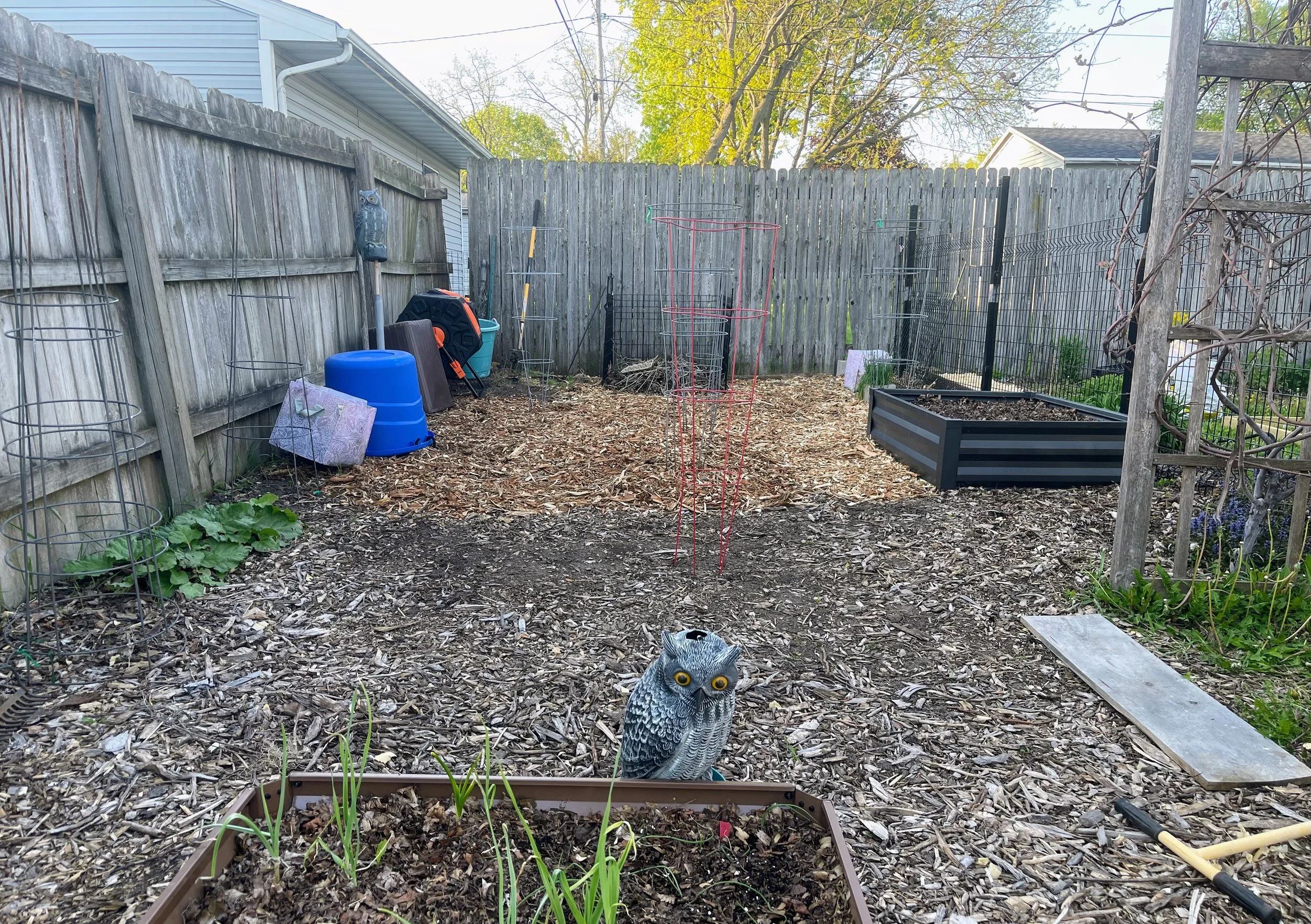 New garden space updated.jpg