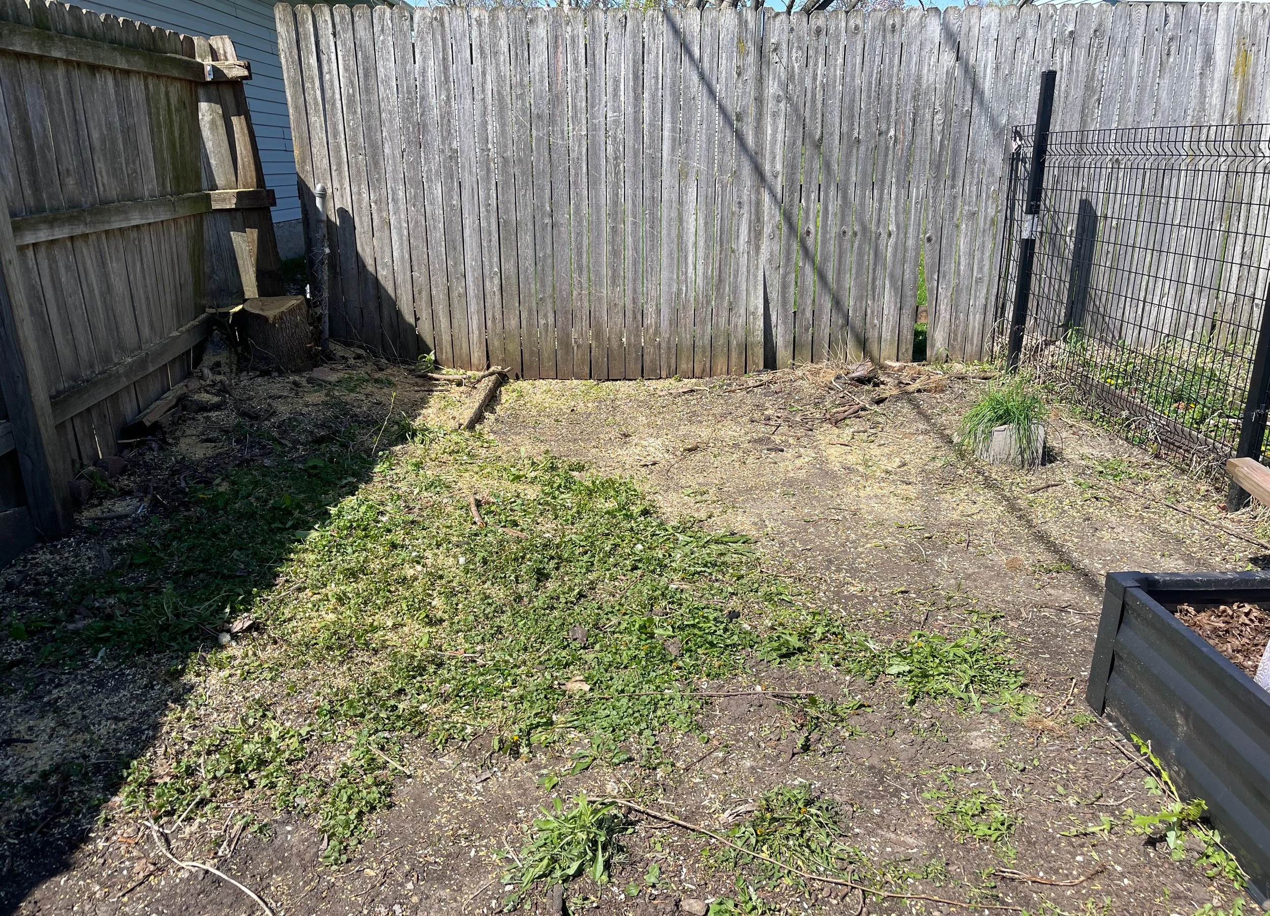 New garden space.jpg