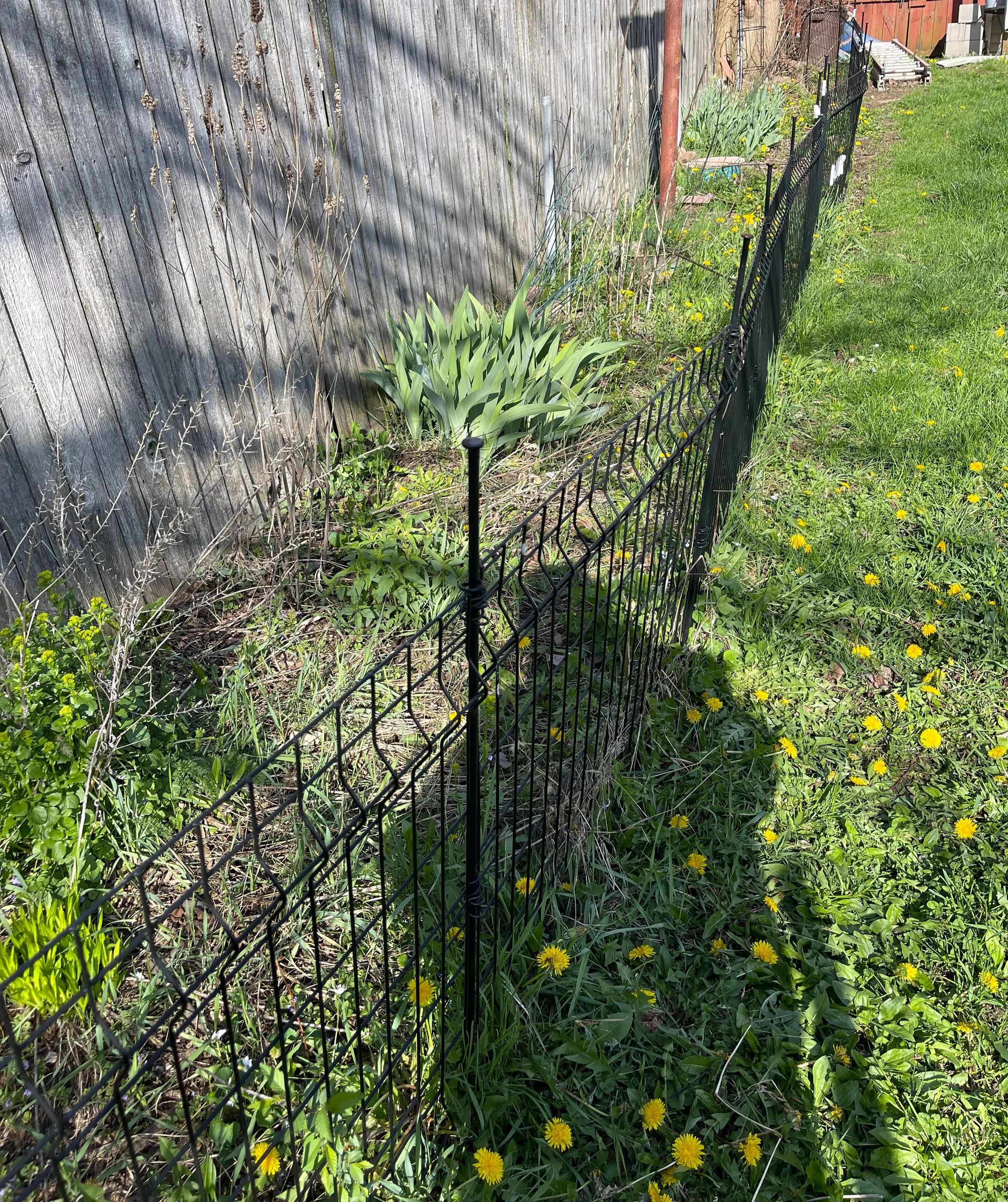 Flower fence.jpg