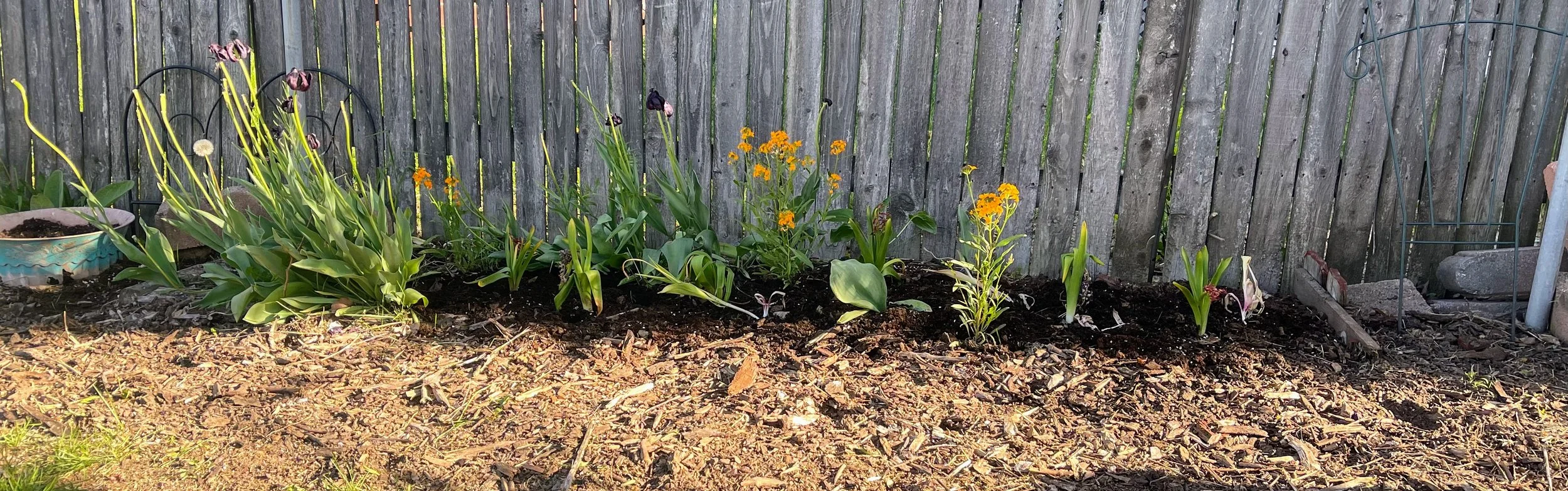 Dirt, Determination, and Deeper Roots: The Expansion Continues