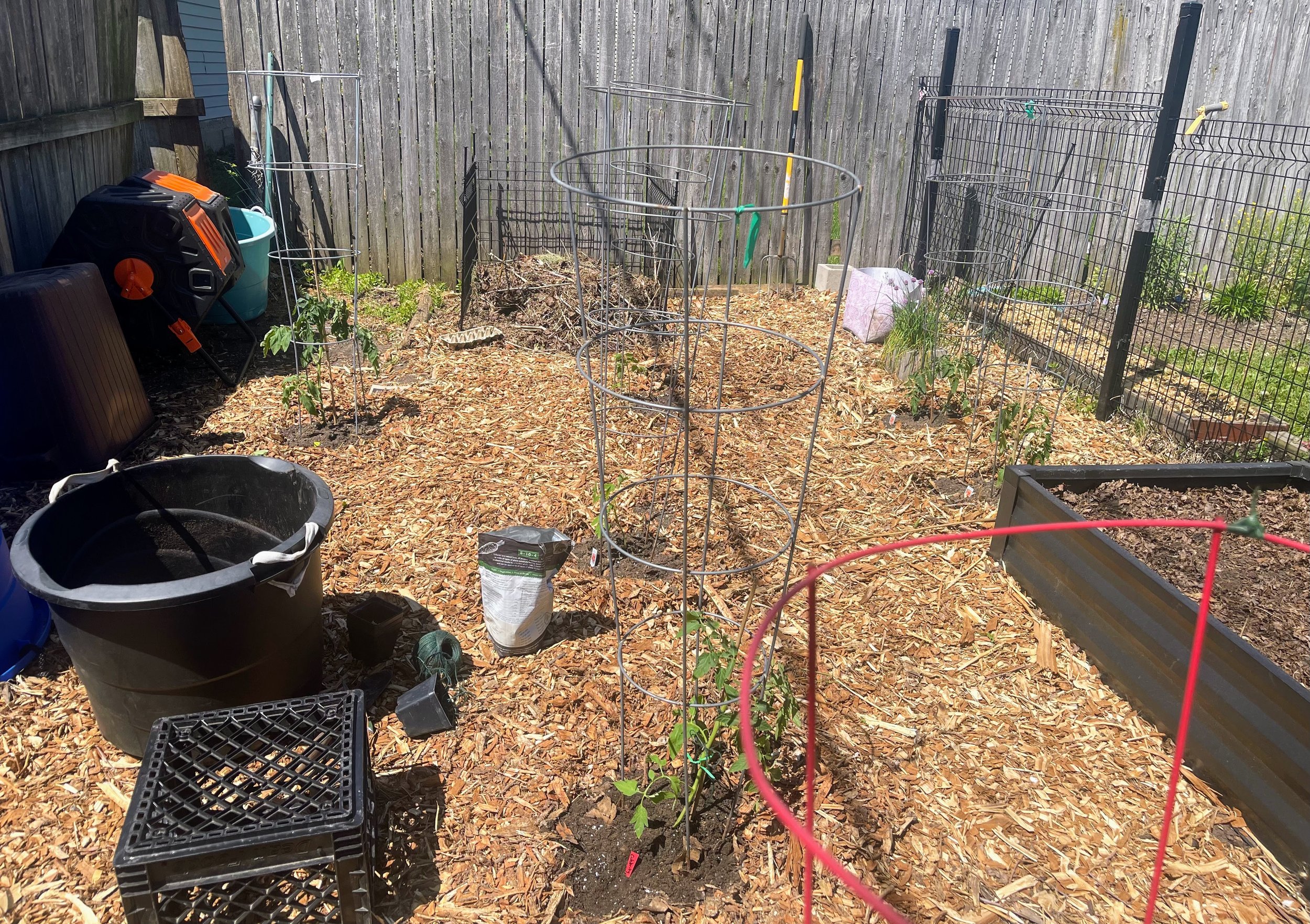 tomato area.jpg
