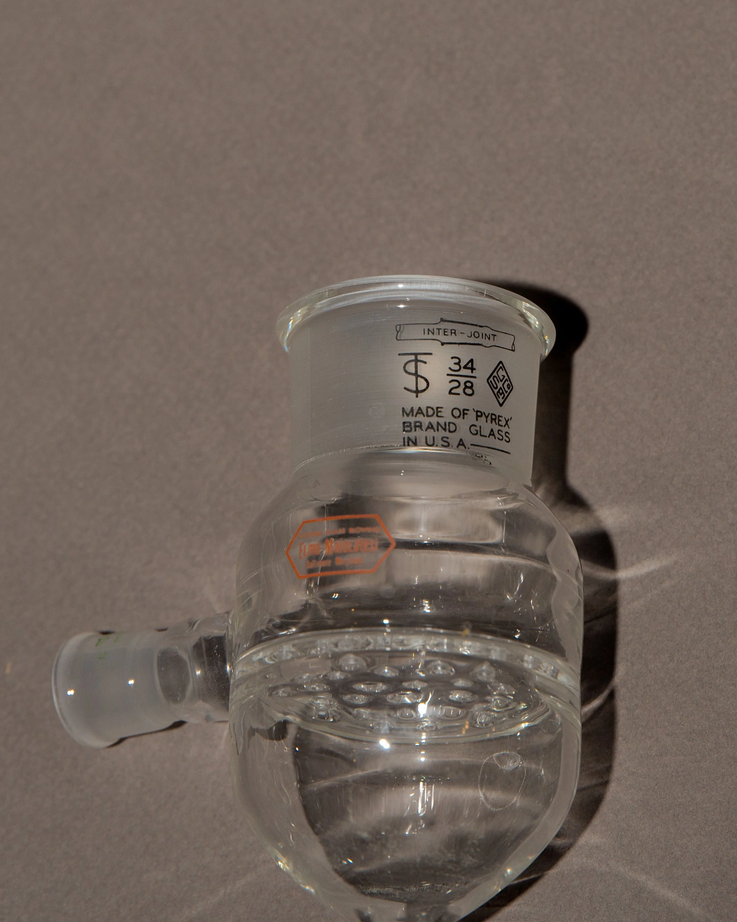 ElmoMaiolatesi_Insley-0400-evo.jpg