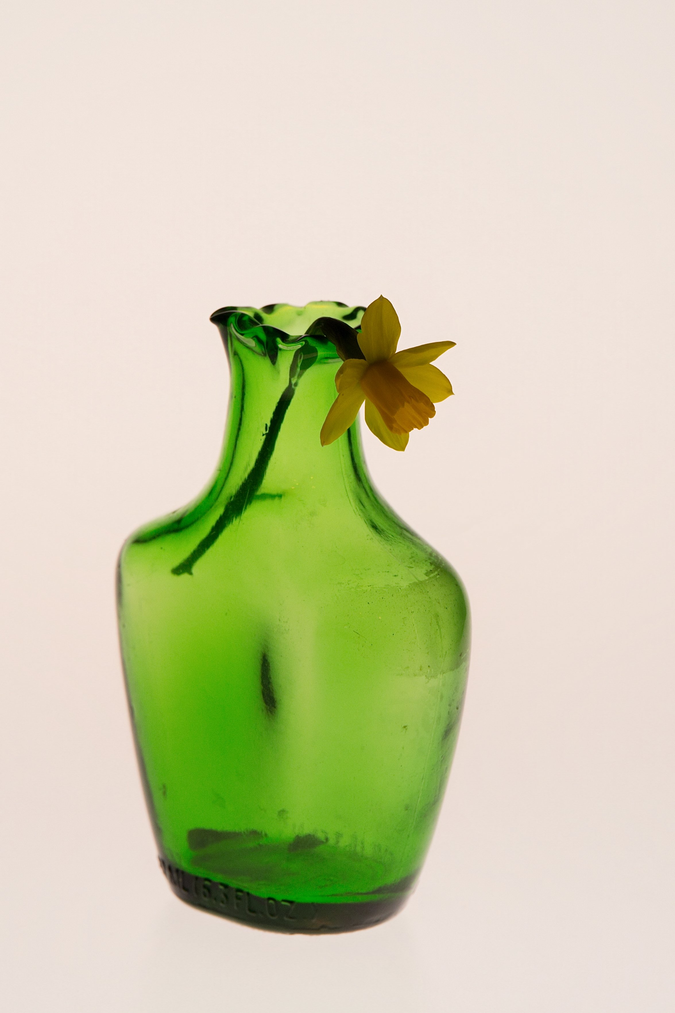 ElmoMaiolatesi_Insley-0154-evo.jpg
