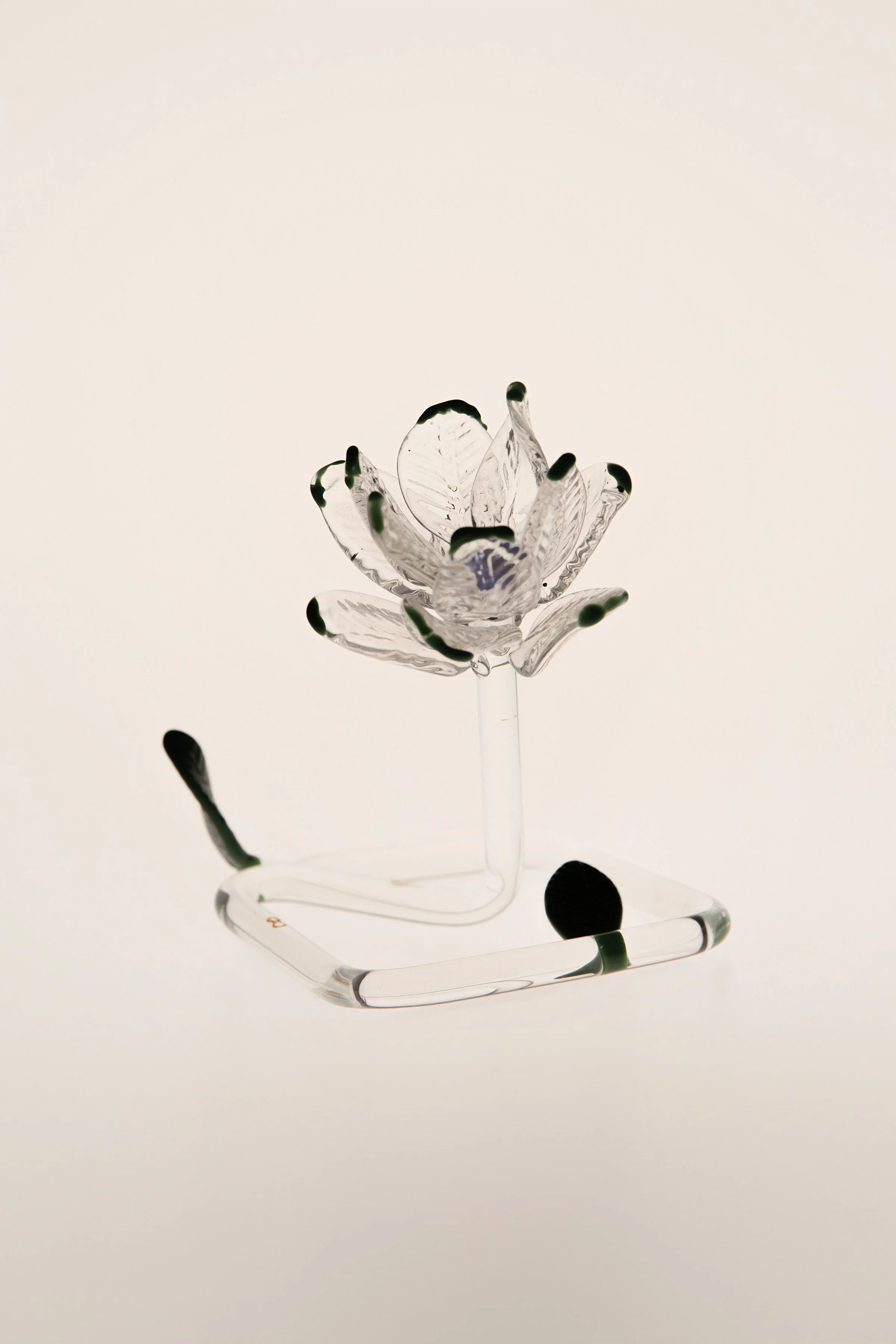 ElmoMaiolatesi_Insley-0092-evo.jpg