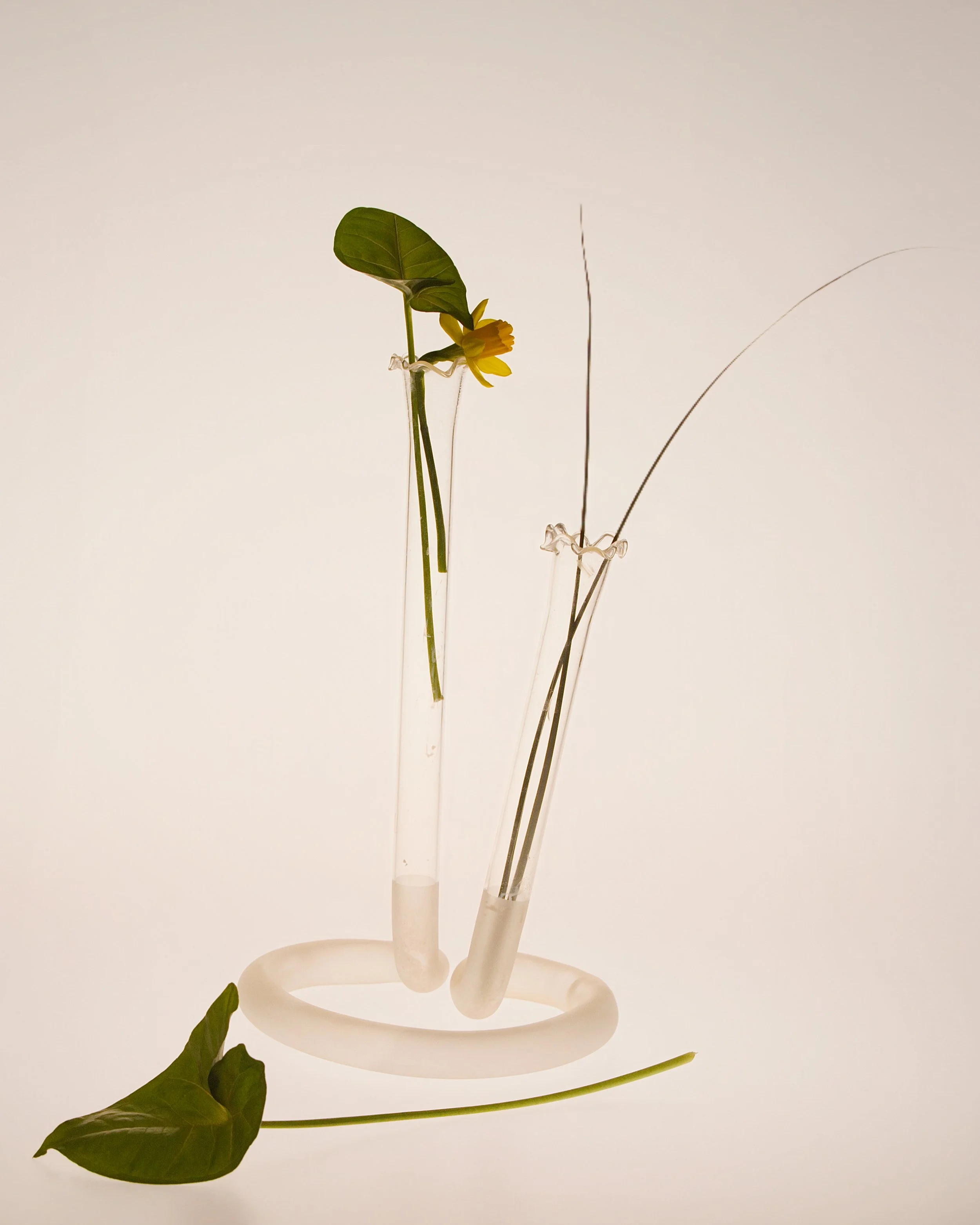 ElmoMaiolatesi_Insley-0158-evo.jpg