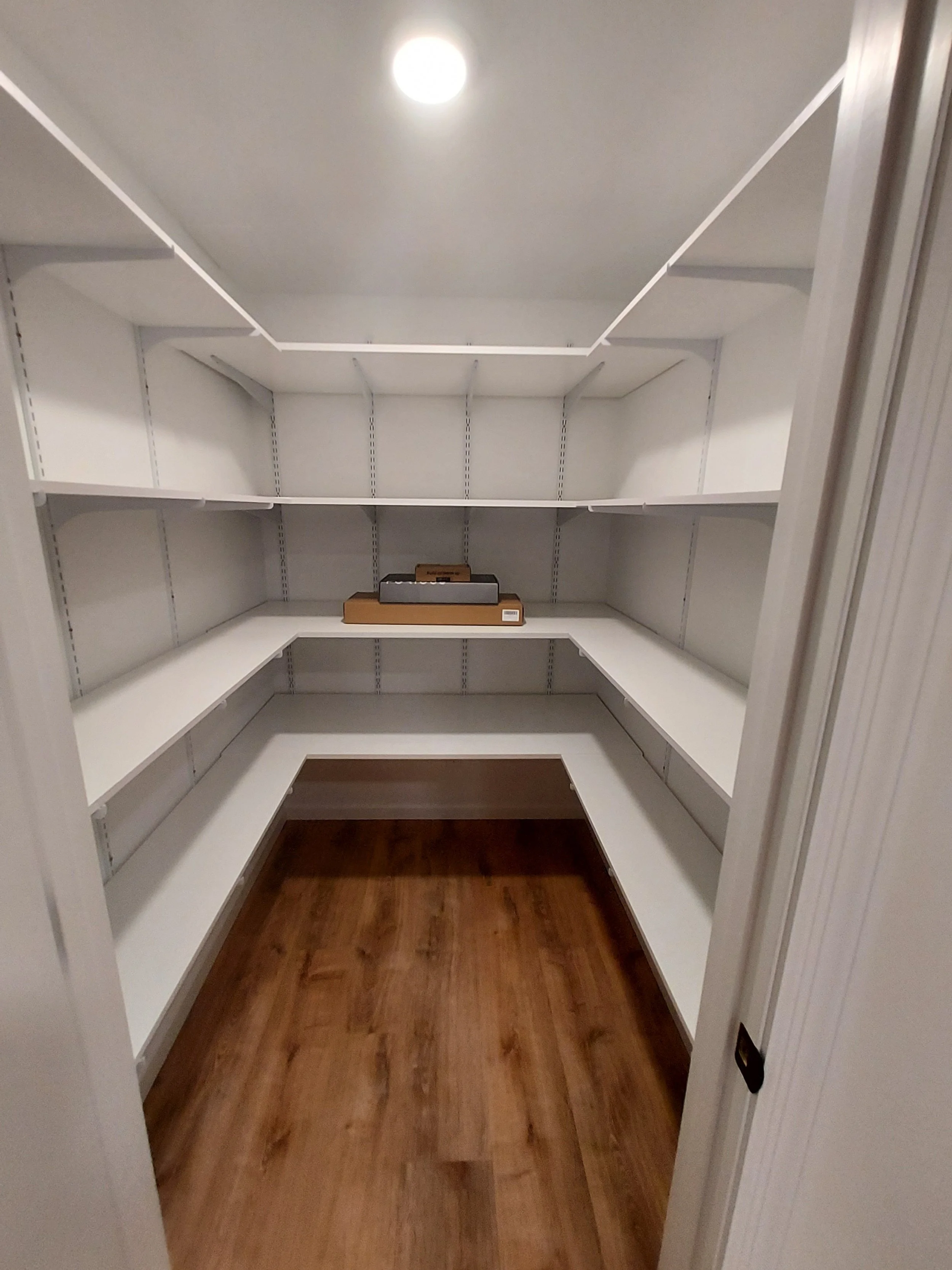 St. Louis basement walk in closet