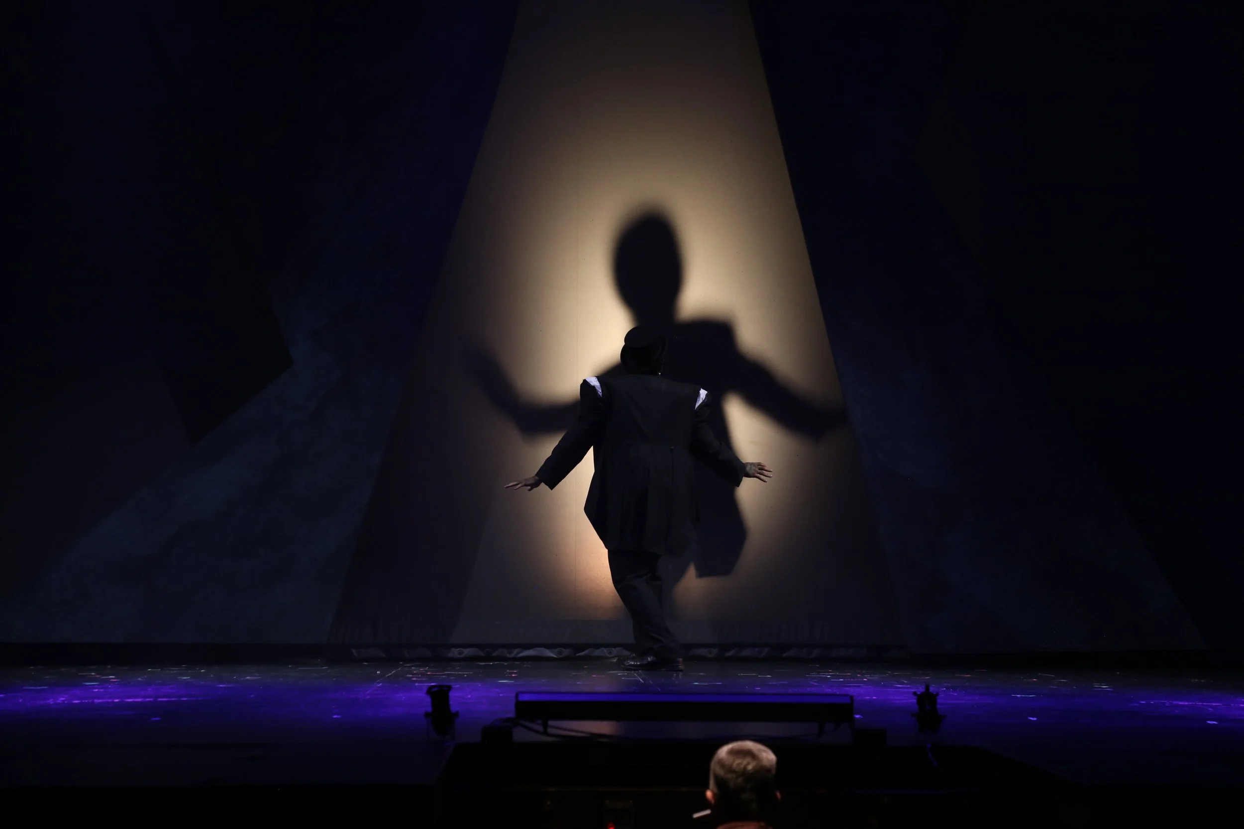 Person on stage with a spotlight casting a shadow resembling a face on the backdrop.