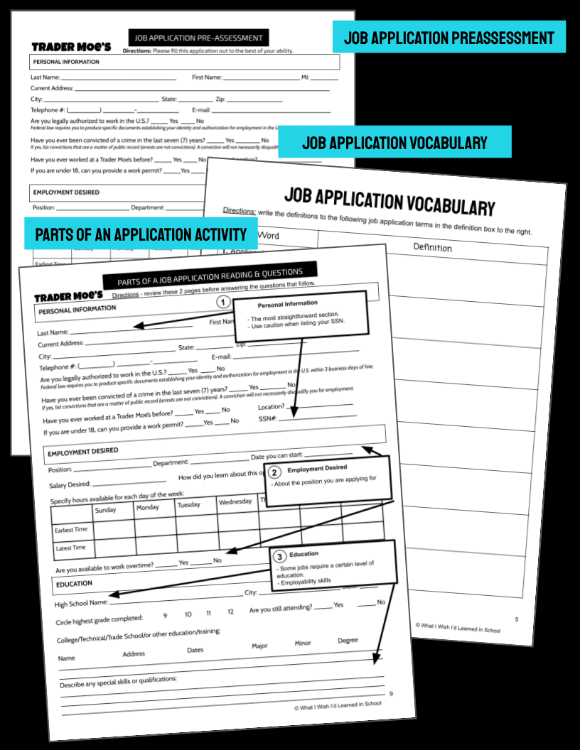 Job Application Preview.png