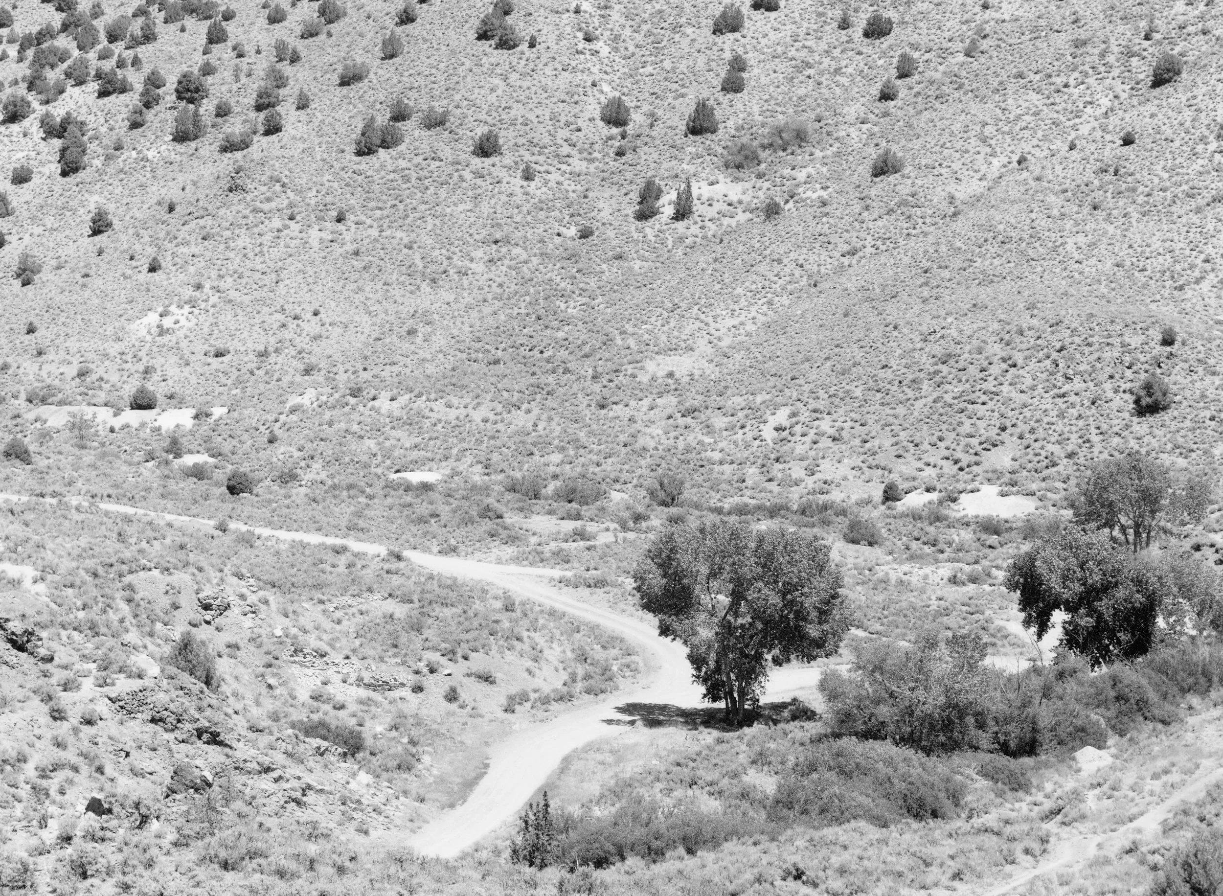 Mark Klett for the Rephotographic Survey Project, 1979. Site of the Gould and Curry Mine, Virginia City, NV.