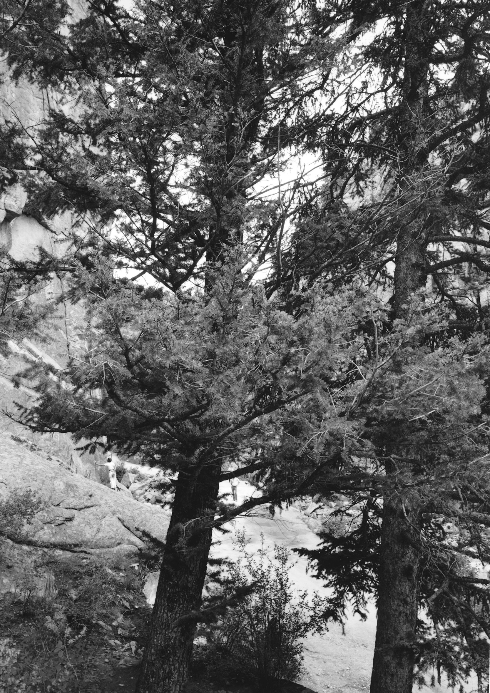 JoAnn Verburg for the Rephotographic Survey Project, 1977. Boulder Canyon, CO.