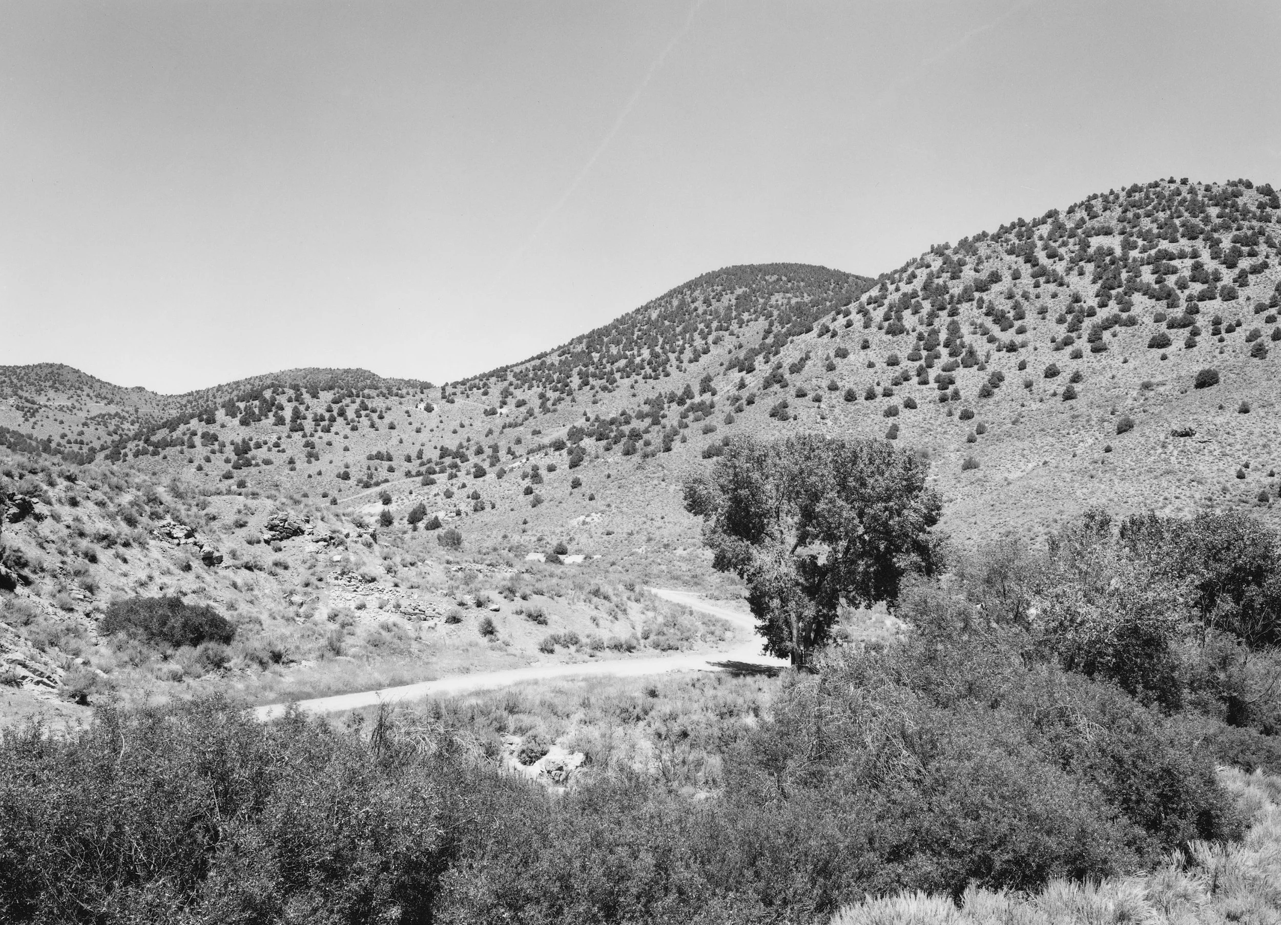 Mark Klett for the Rephotographic Survey Project, 1979. Site of Gould and Curry Mine (near view), Virginia City, NV.