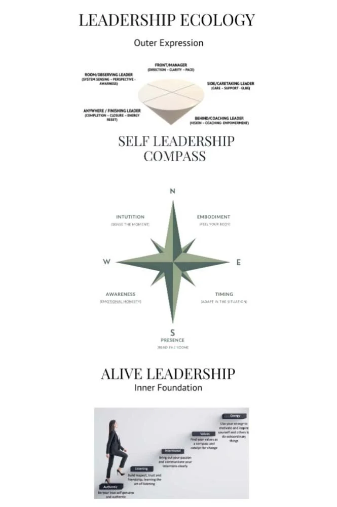 The  'Leadership Ecology'  Model
 - ALIVE builds the inner state
- Self-Leadership helps leaders sense when to switch
- Leadership Ecology expresses that state in the world