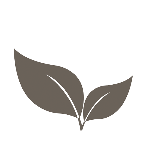 A logo featuring two stylized leaves in gray color.