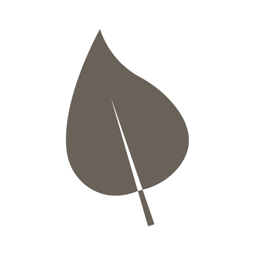 Black background with a gray leaf illustration in the center.