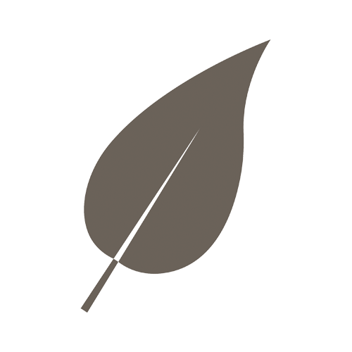 A simple drawing of a gray leaf with a central vein.