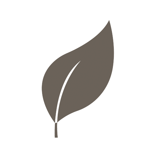 A simple, stylized illustration of a leaf in gray tone.