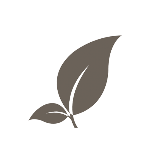 A gray icon of a plant with two leaves and a small branch on a black background.