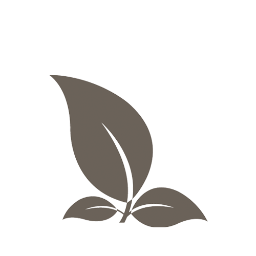 A minimalist graphic of three leaves, one larger and two smaller, in gray color.