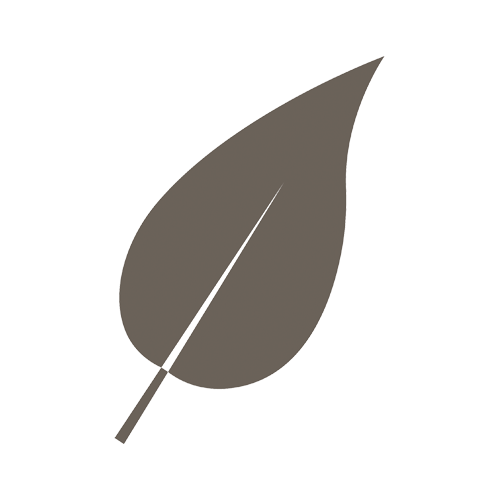 A simple graphic illustration of a single brown leaf with a central vein.