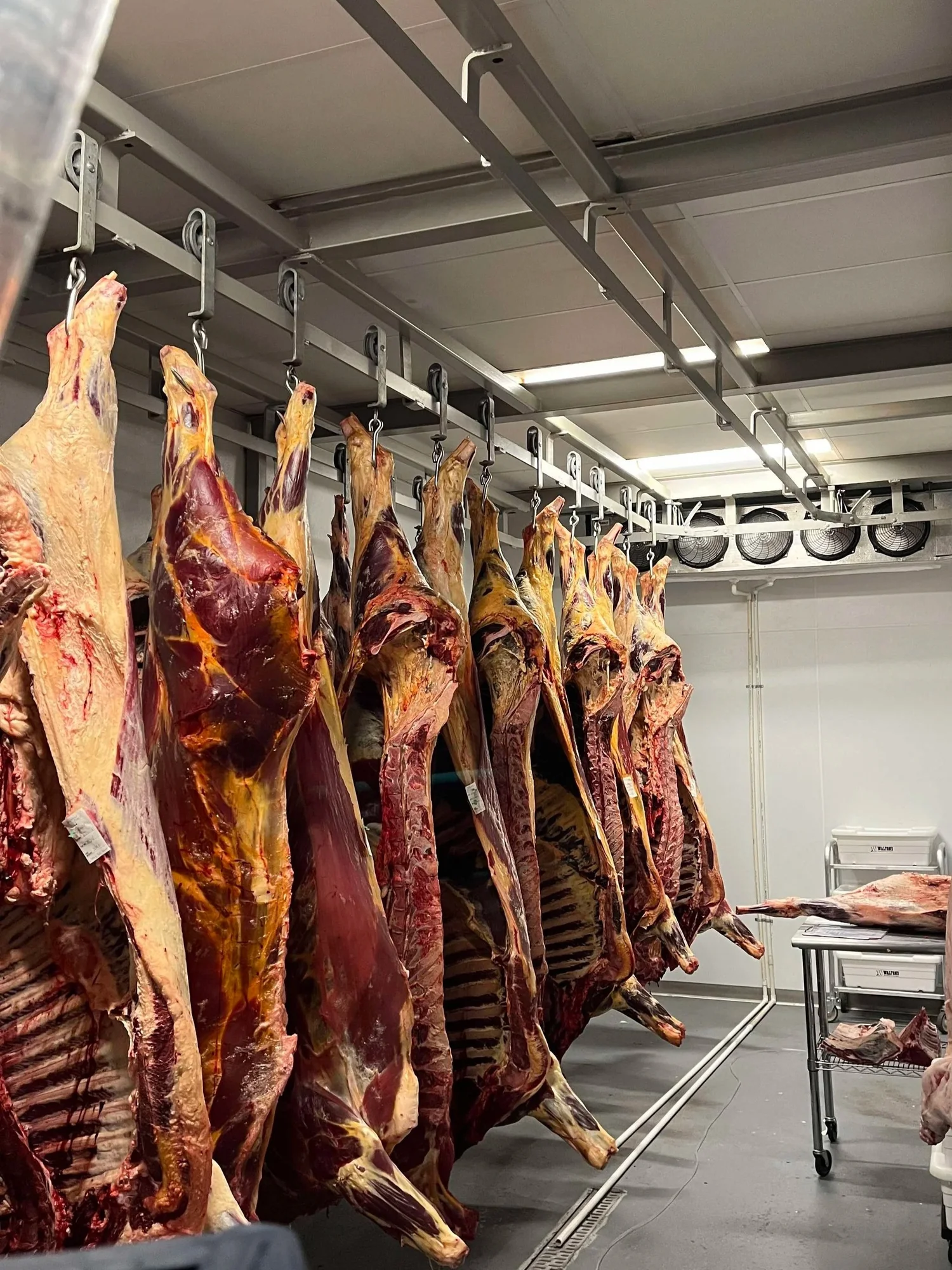 Bulk Beef Packages — C4 Farms Beef