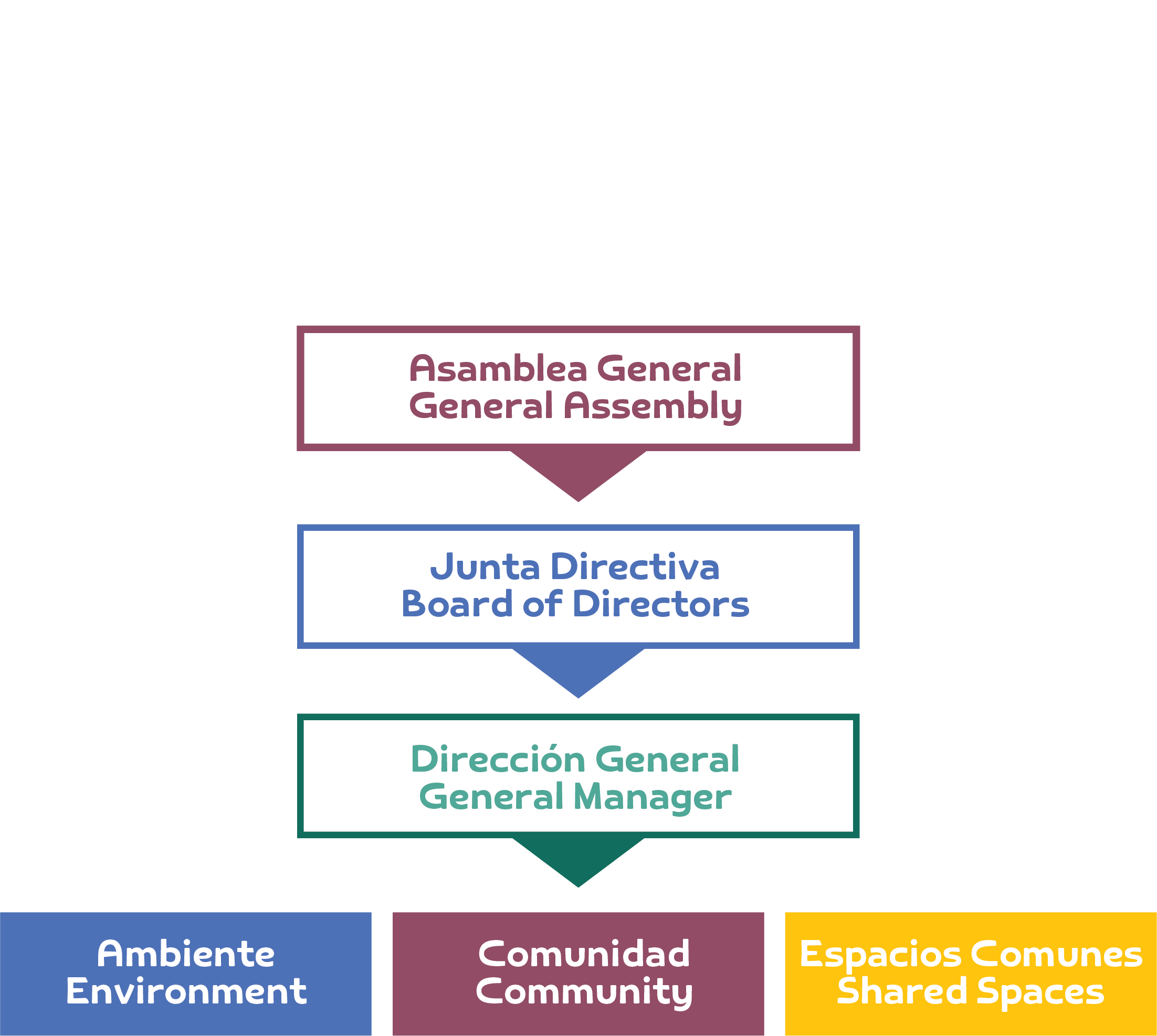 A multi-colored organizational chart displaying different categories such as 'Asamblea General/General Assembly', 'Junta Directiva/Board of Directors', 'Dirección General/General Manager', 'Ambiente/Environment', 'Comunidad/Community', and 'Espacios Compartidos/Shared Spaces'.