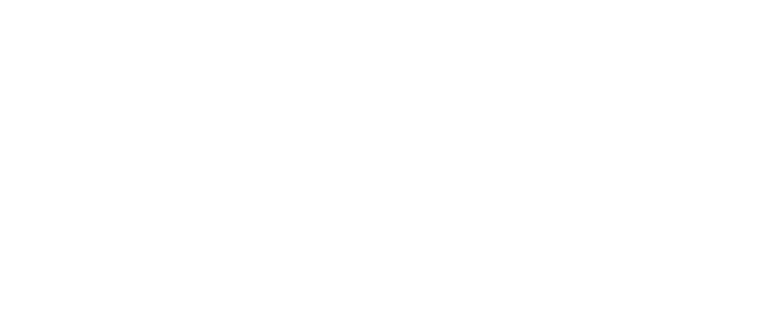 Black and white logo with the word 'Ariel' in stylized lowercase letters.