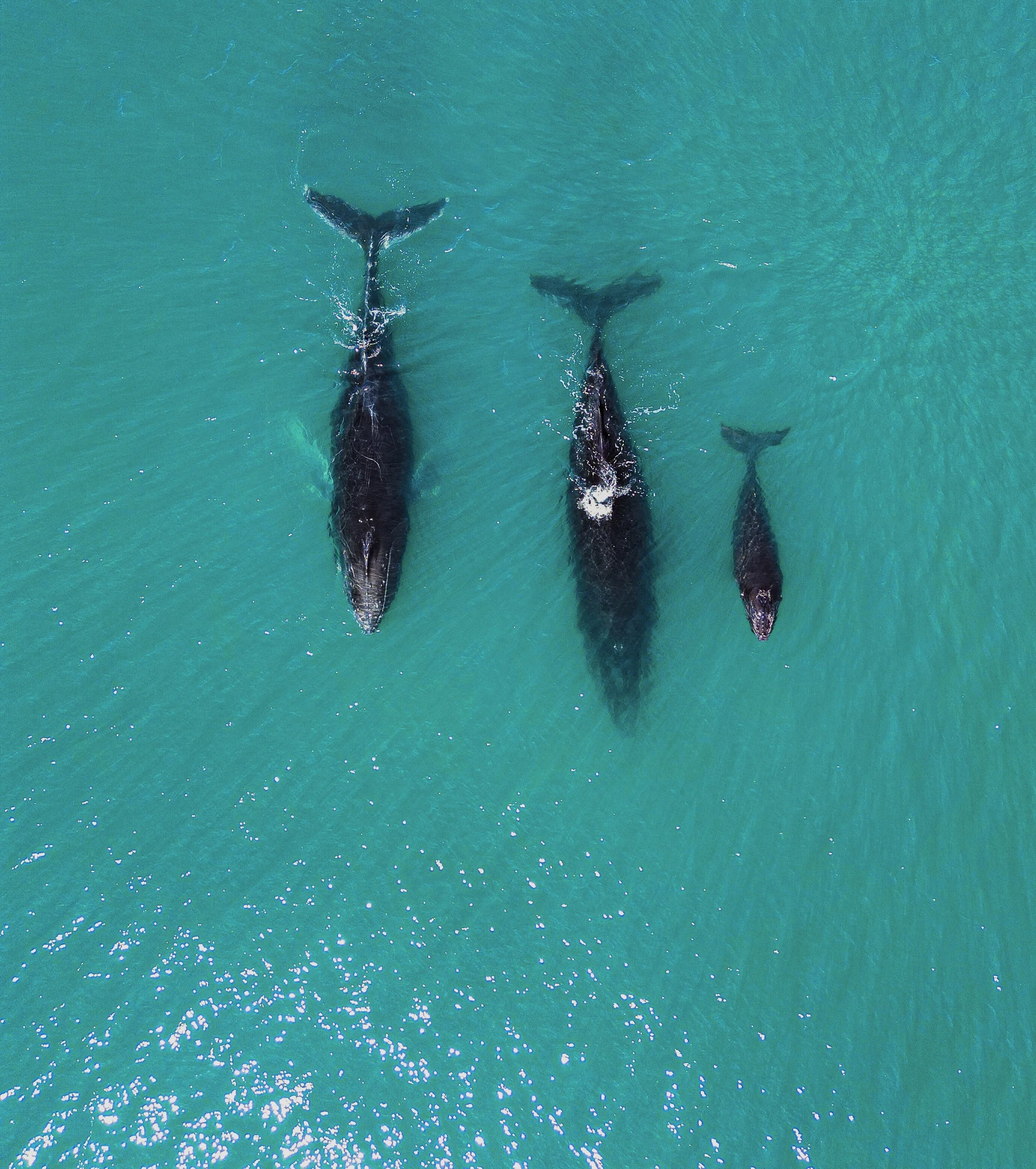 dji_fly_20231225_114944_548_1703530417350_photo.JPG