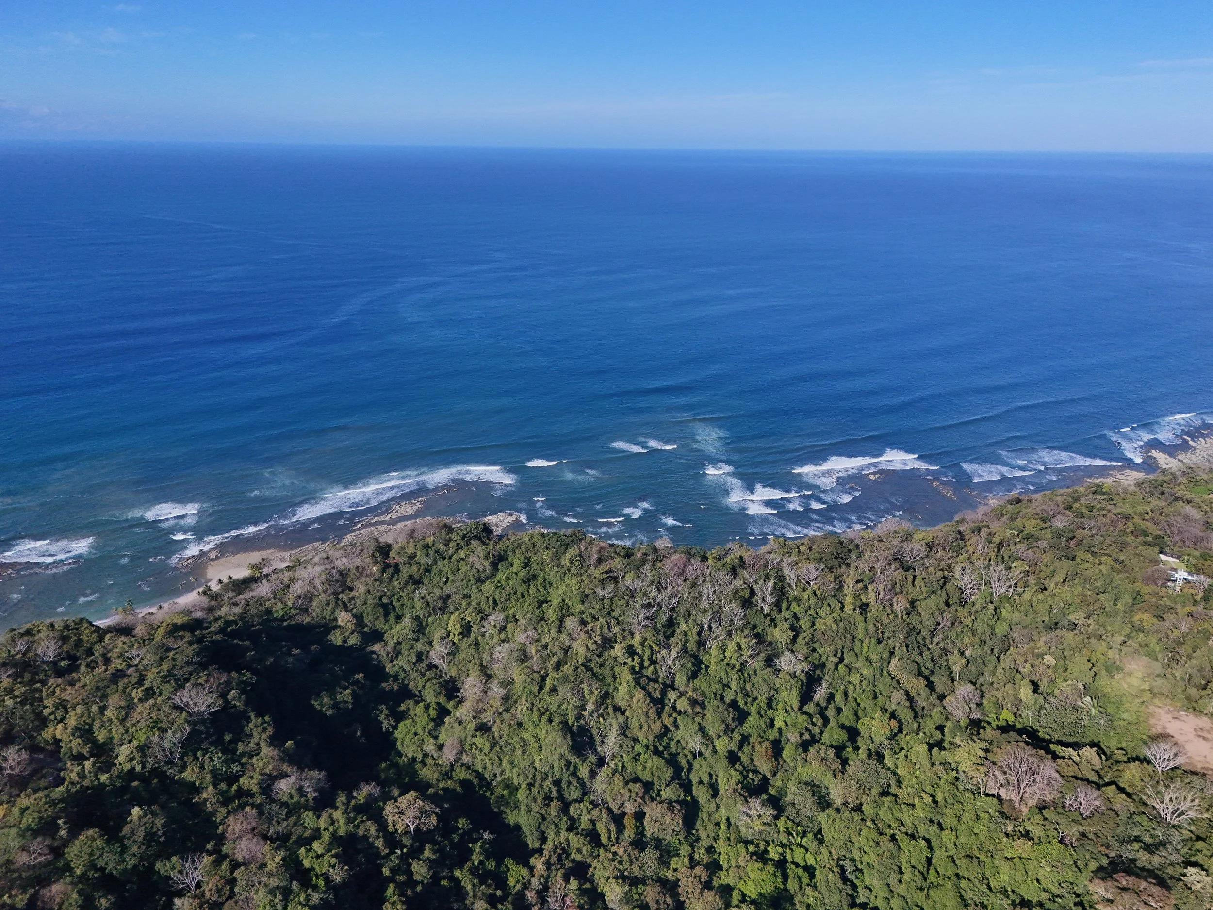 dji_fly_20260128_061722_0343_1769615722374_photo.jpeg