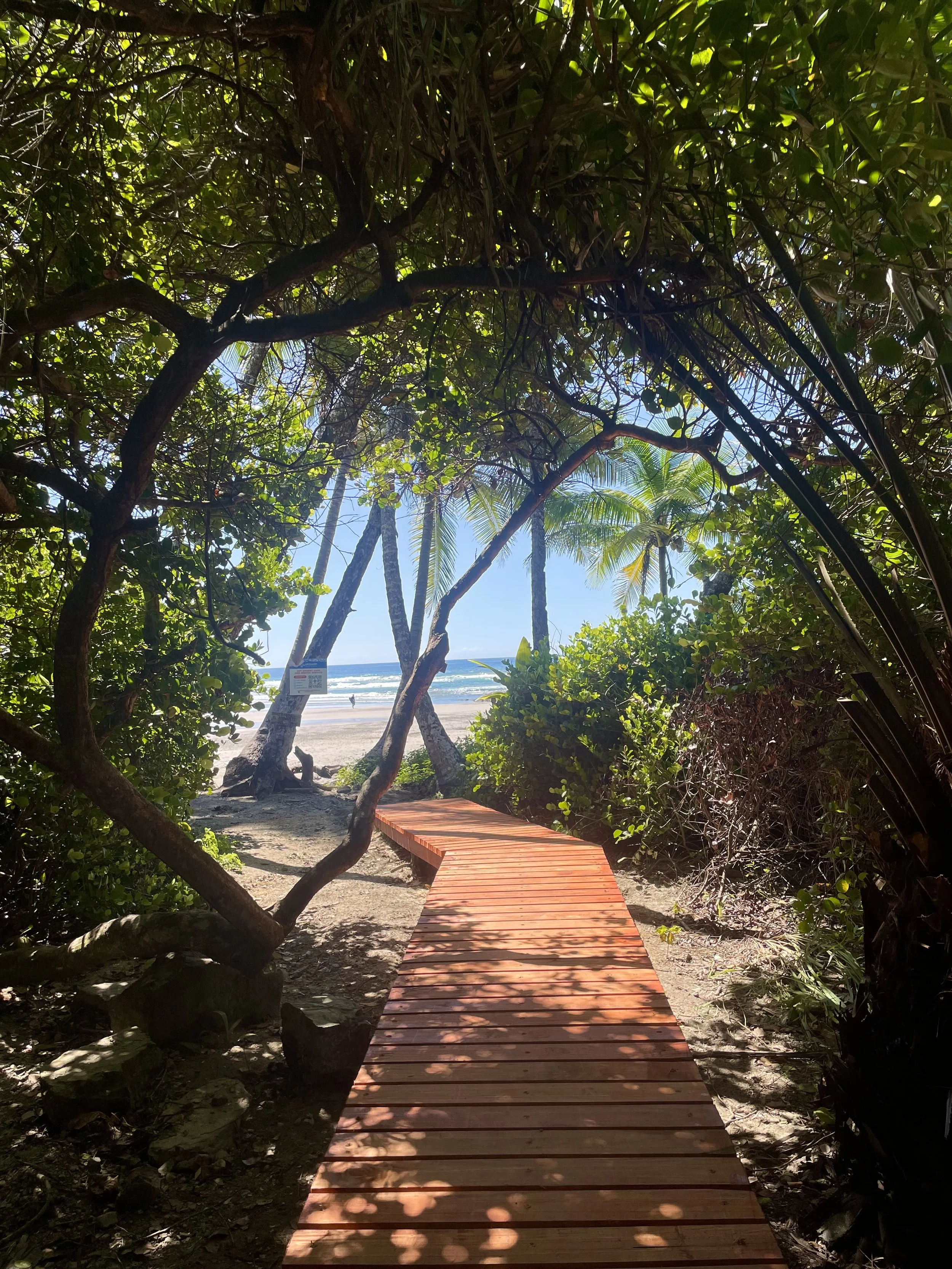Paso Elevado Diciembre 2025.jpeg