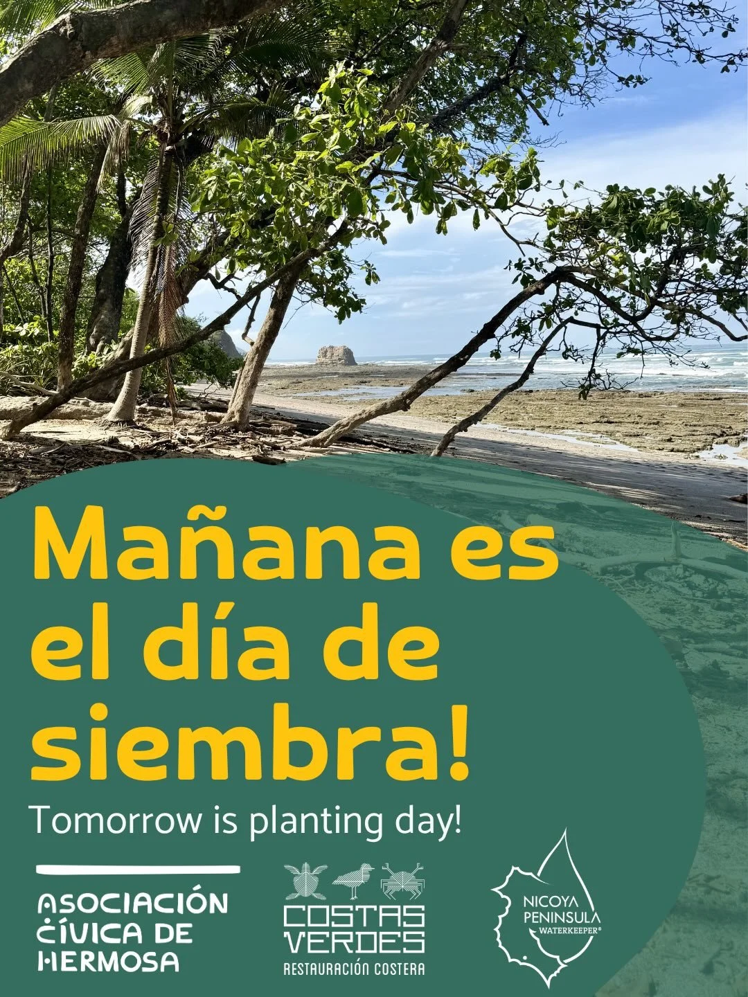 🌱 &iexcl;Ma&ntilde;ana sembramos juntos!

Les esperamos para continuar la restauraci&oacute;n costera del corredor Pe&ntilde;&oacute;n &ndash; Poza Cambute. 💚

📍 Pe&ntilde;&oacute;n &ndash; Poza Cambute
🕘 9:00 AM

Traigan agua, ropa c&oacute;moda