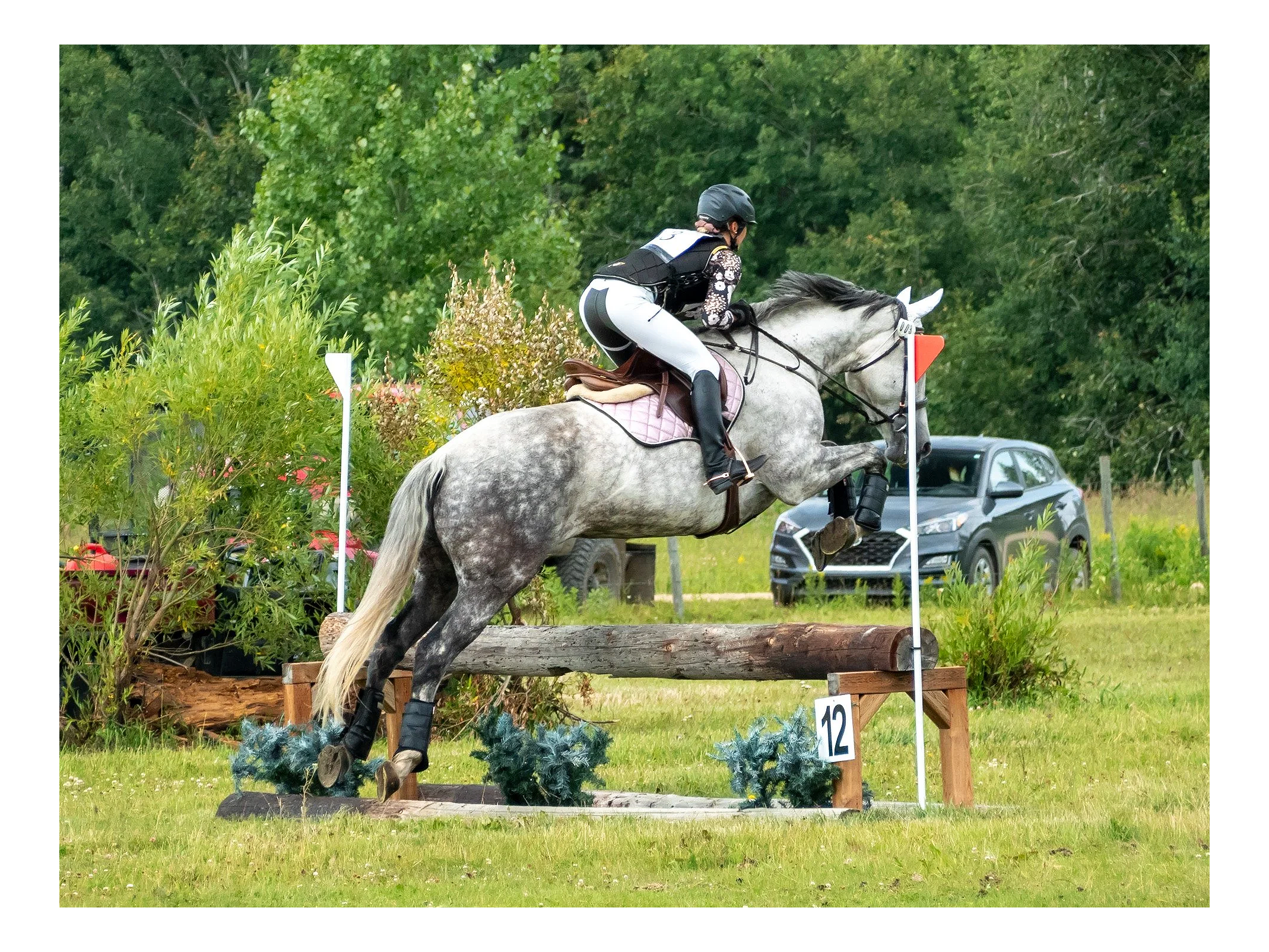 A rider and gray horse jumping over an obstacle during a cross-country equestrian event in a grassy outdoor setting with trees and cars in the background.