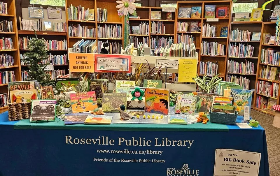 DT-Children's Frog Display.jpg