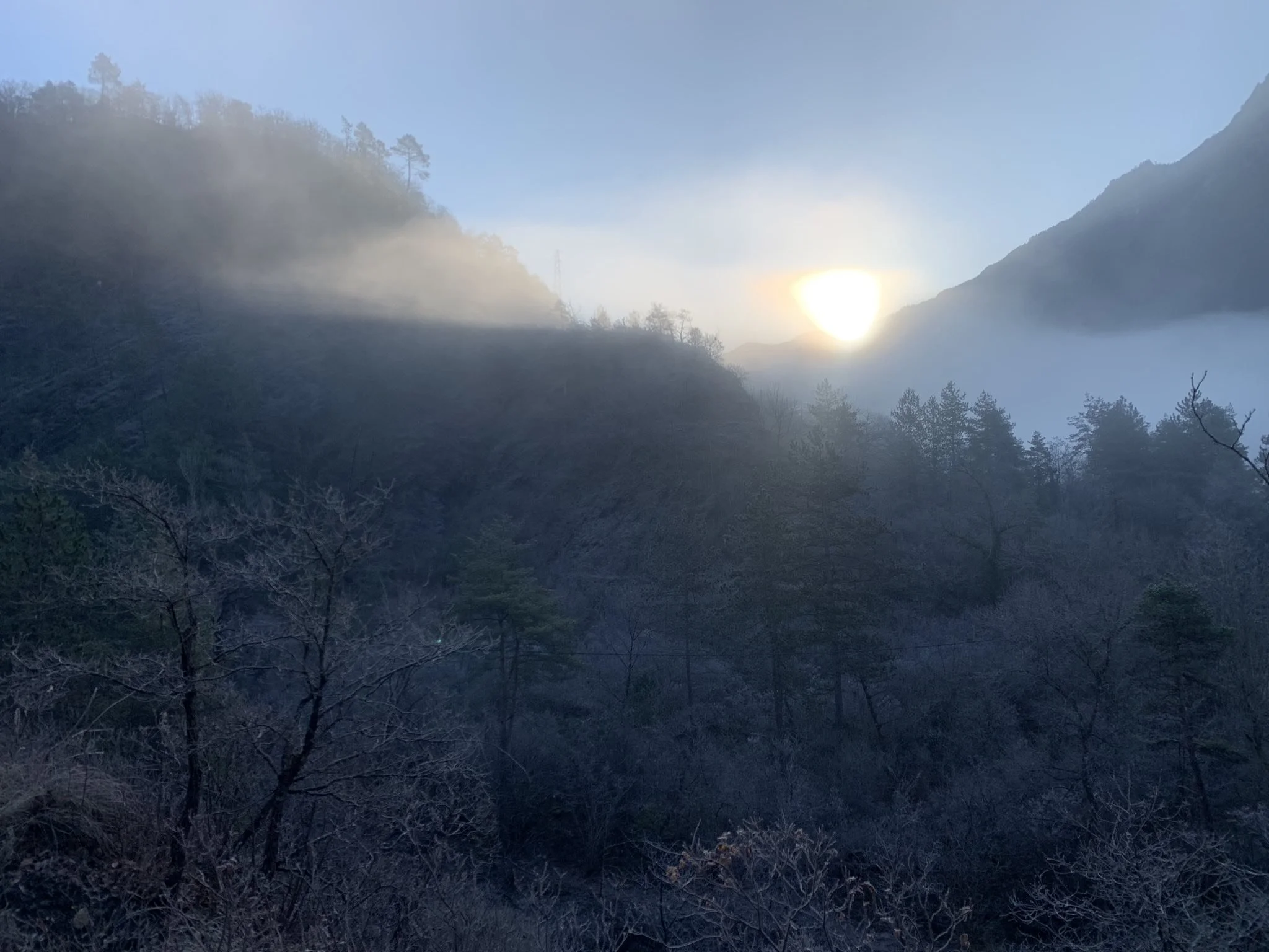 Birth of Earth In Transition NGO