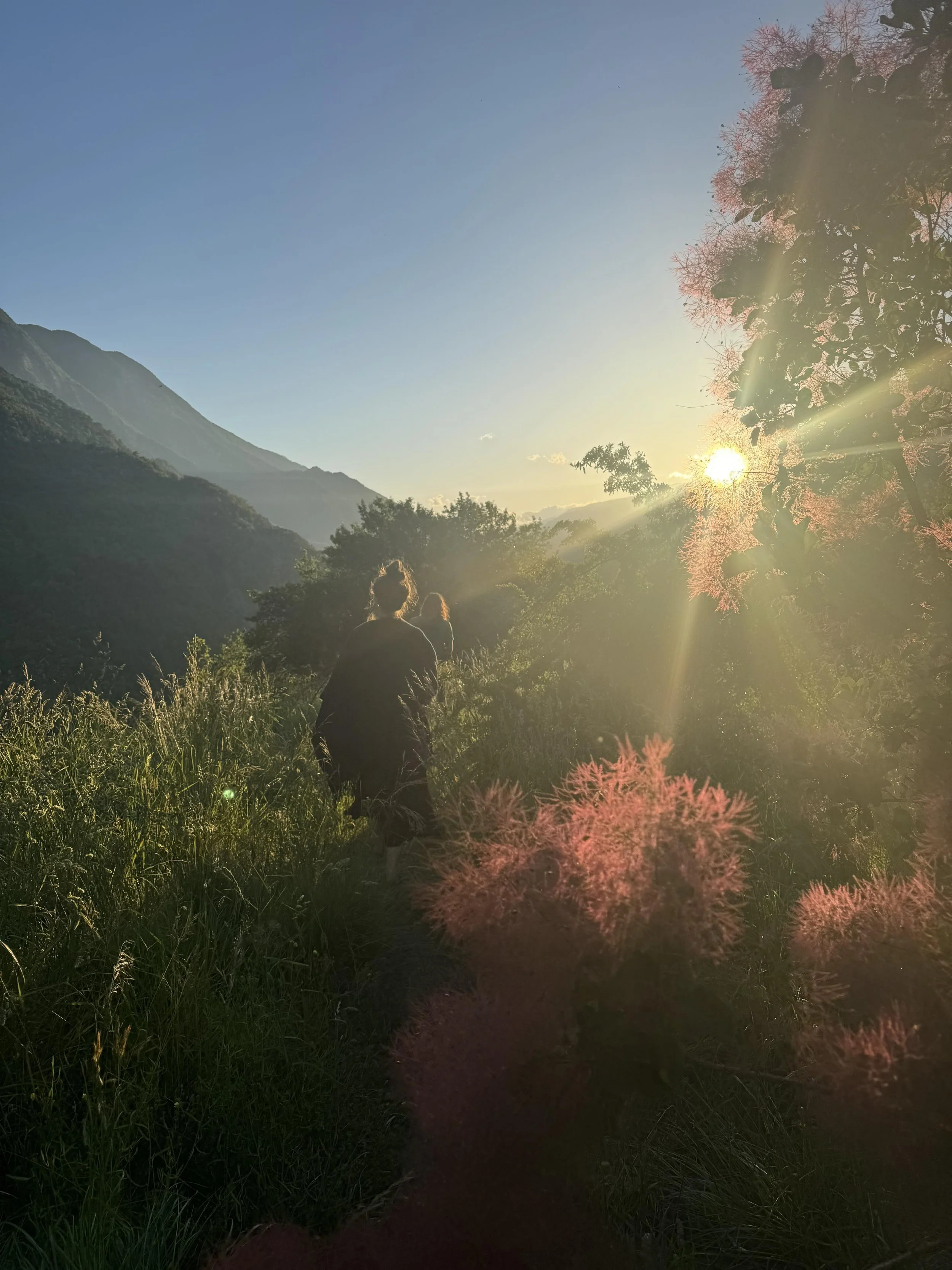 Regeneration Network Residencies Announced