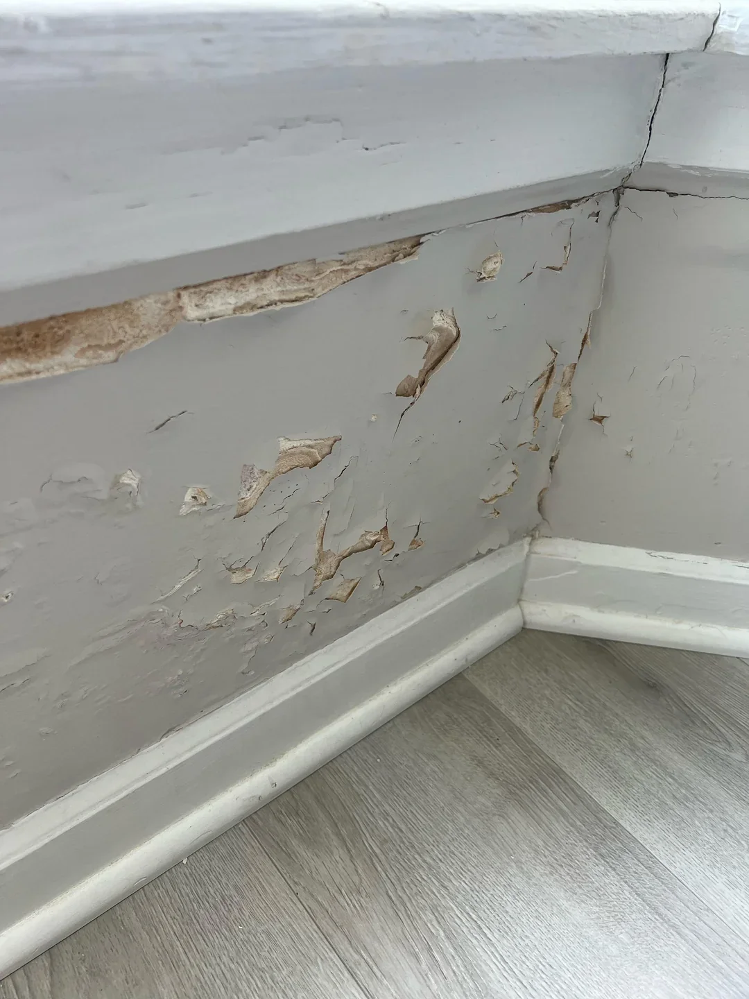 A wall displaying peeling paint and visible mold growth, indicating neglect and potential moisture issues.