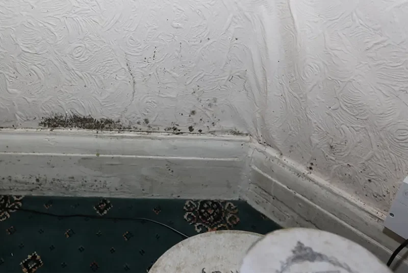 A dirty toilet with visible mold growing on the wall, indicating poor hygiene and maintenance conditions.