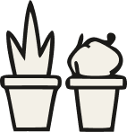 Two small potted plants, one with spiky leaves and the other with rounded leaves