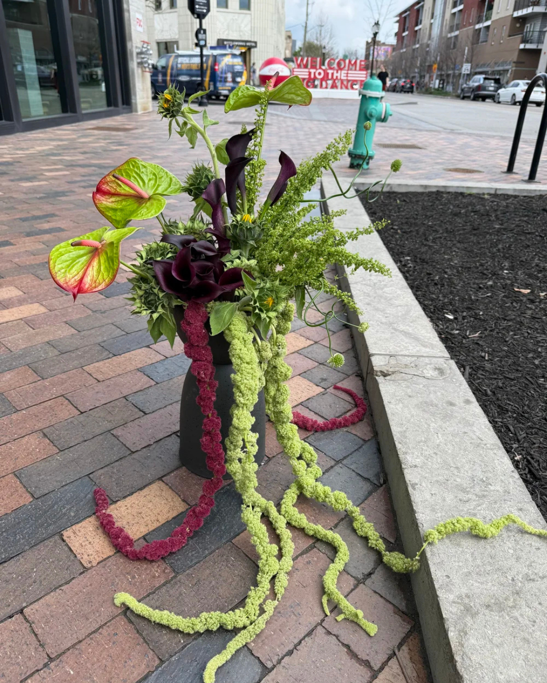 Frida’s Flowers 2026 - 16.png