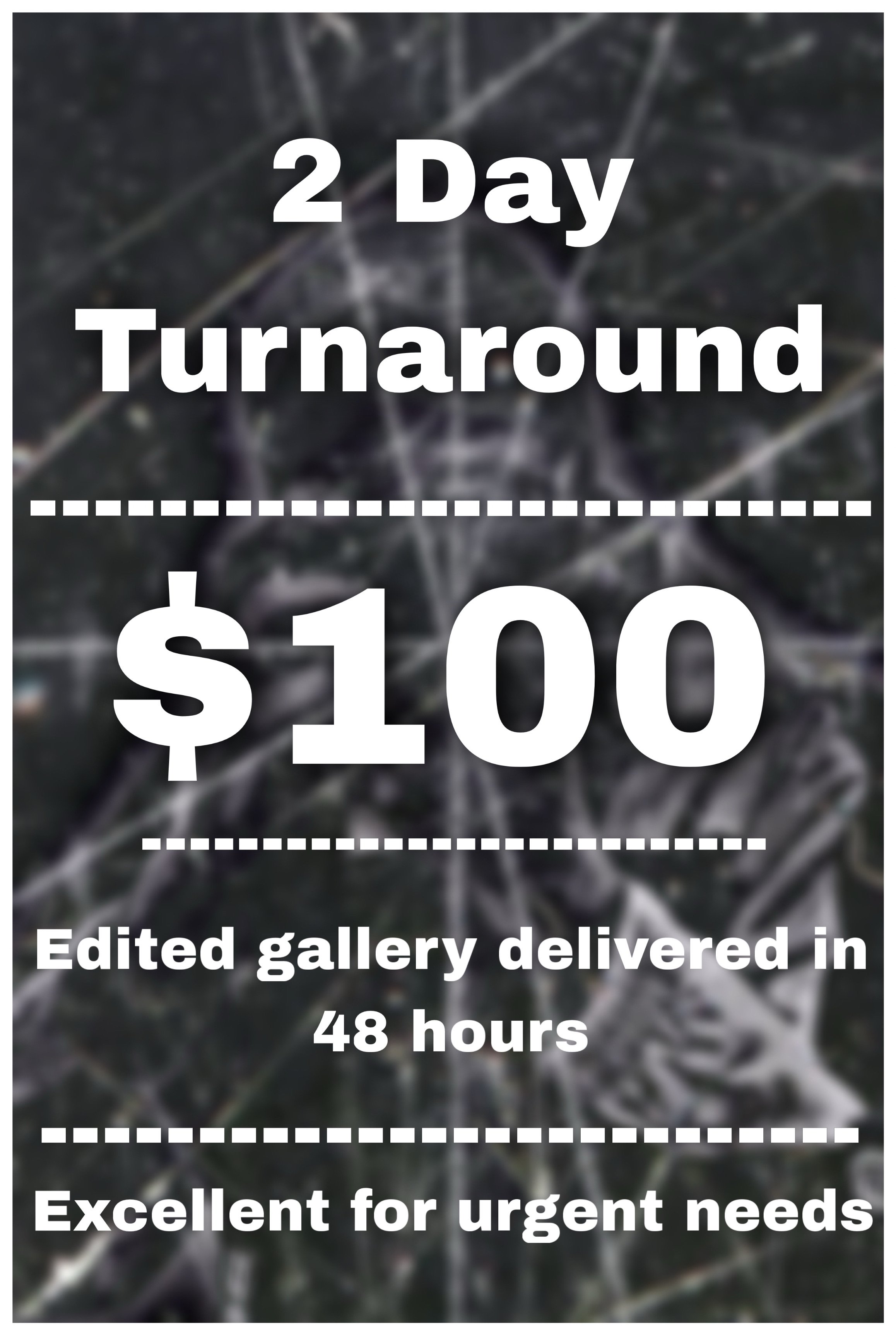 2-Day Turnaround - $100
