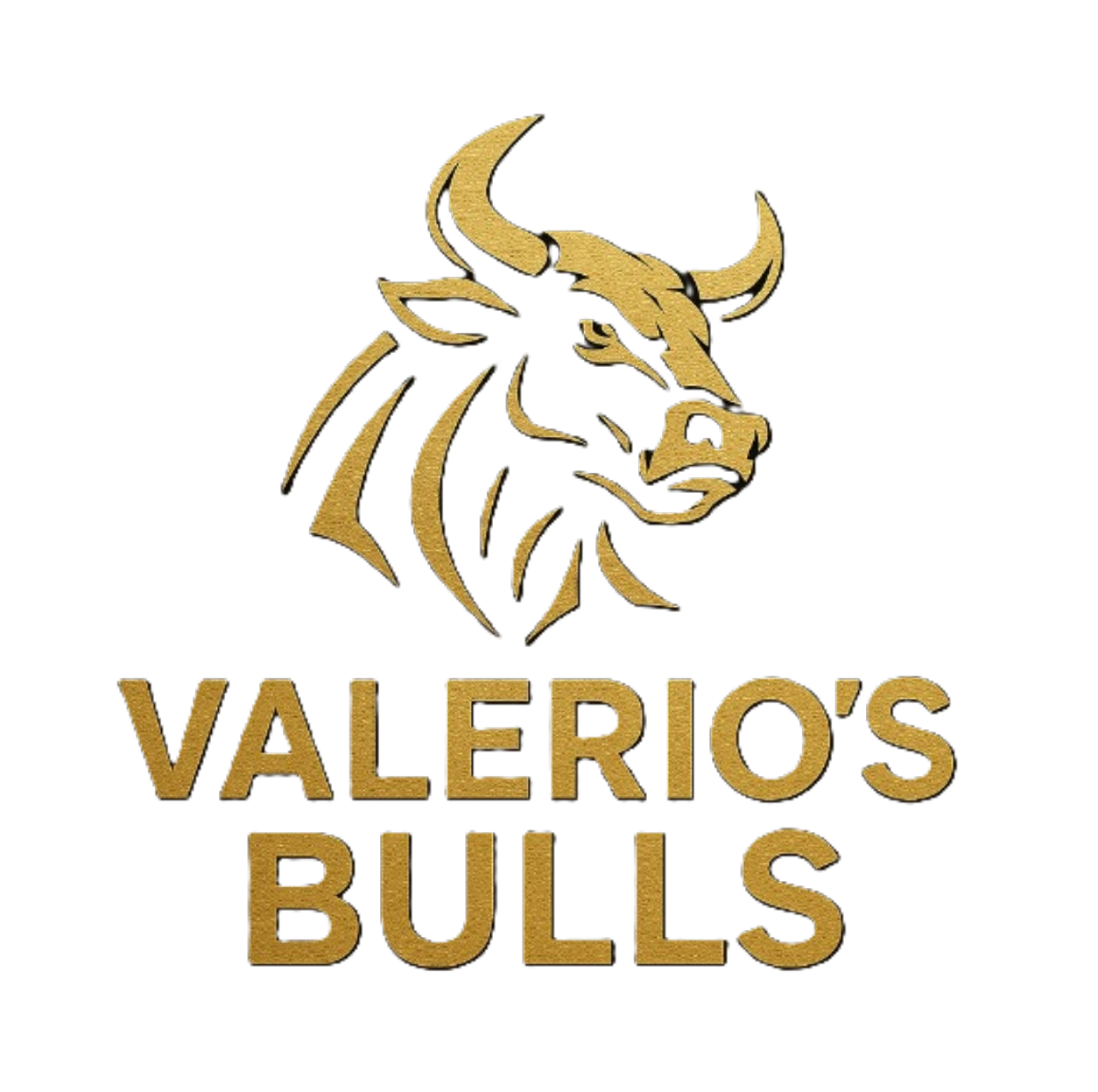 Valerio's Bulls