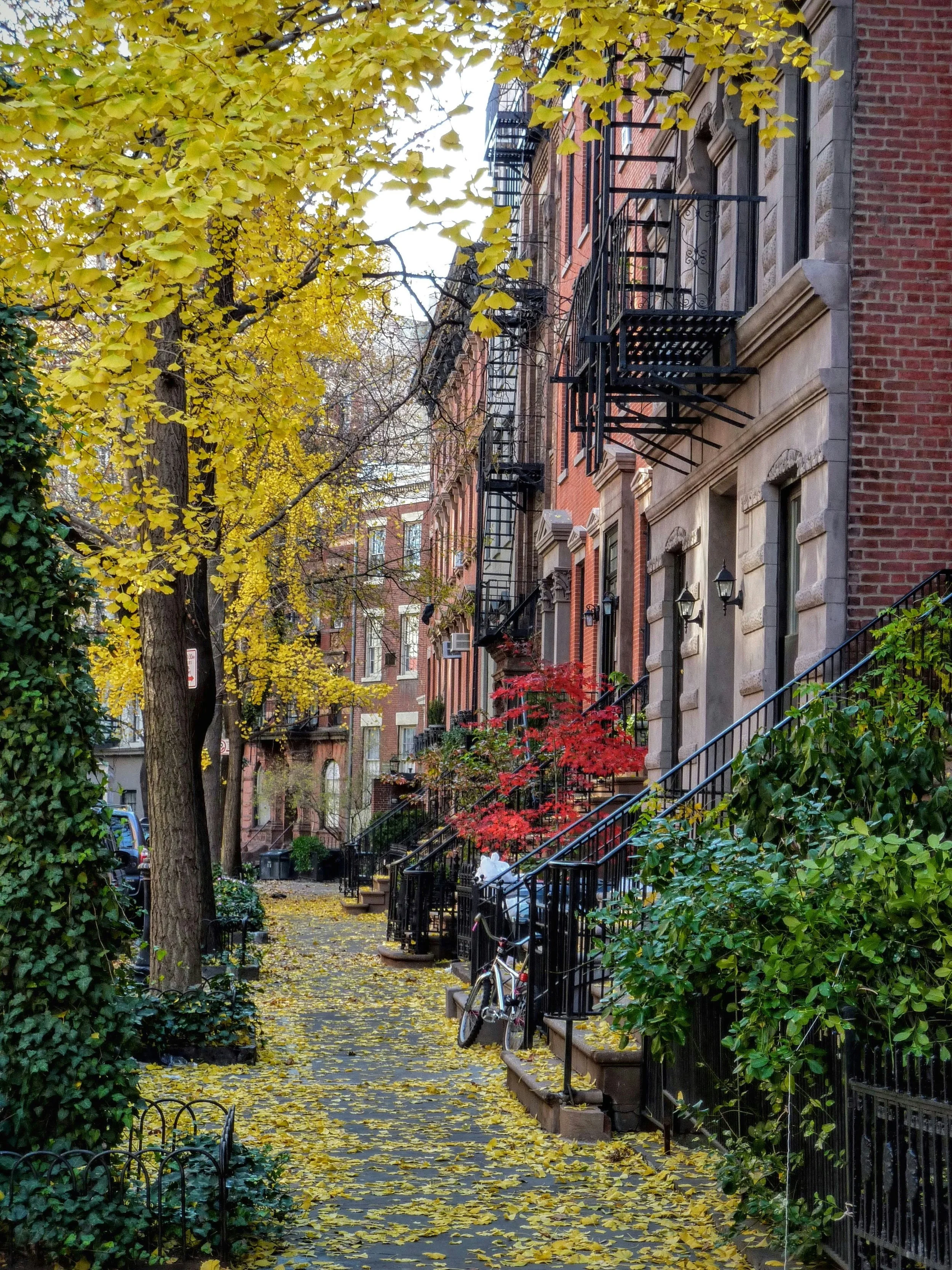 A city sidewalk lined with buildings, trees with yellow and red leaves, fallen leaves on the ground, parked bicycle, and iron railings.